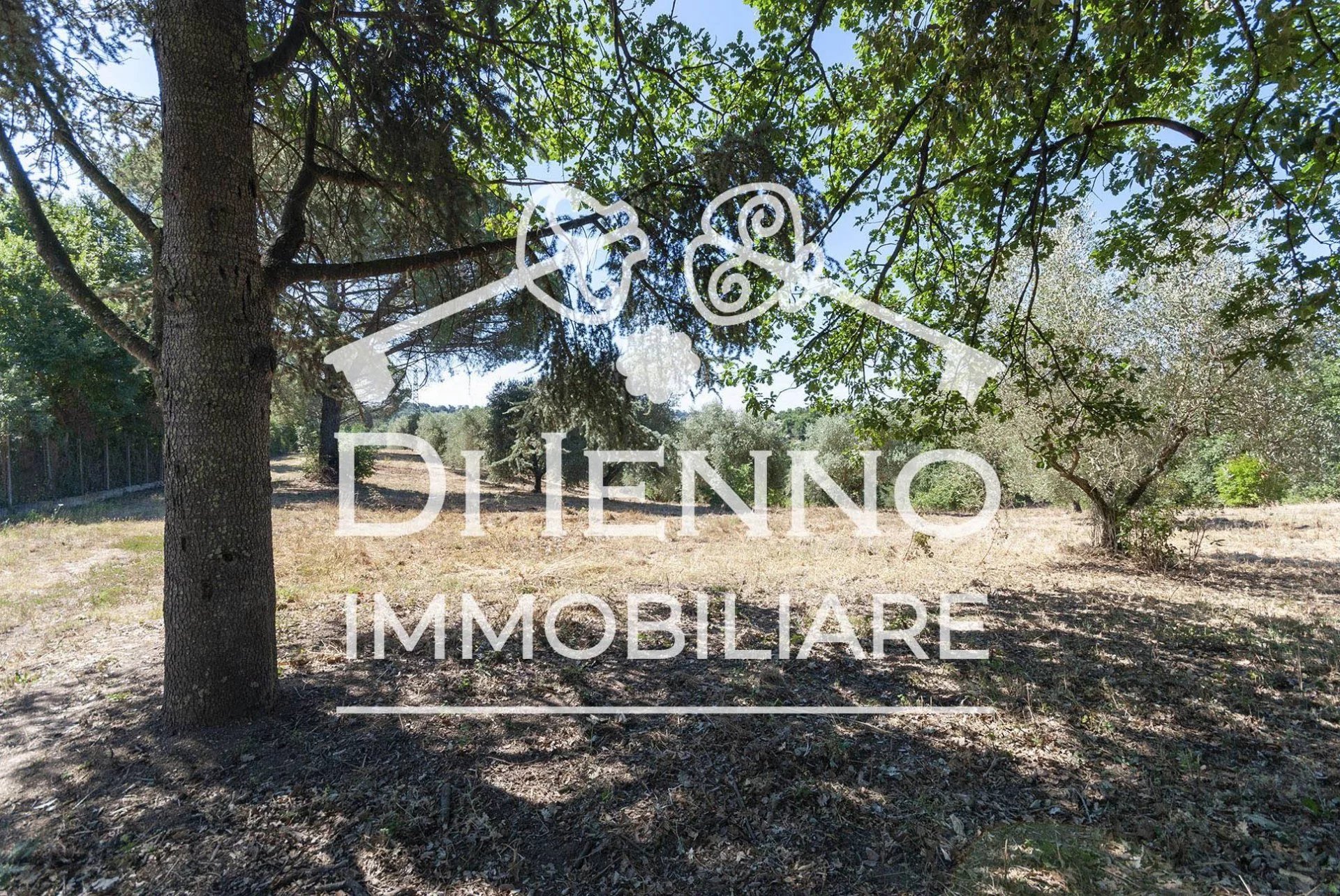 Vendita Terreno agricolo Roma Prima Porta