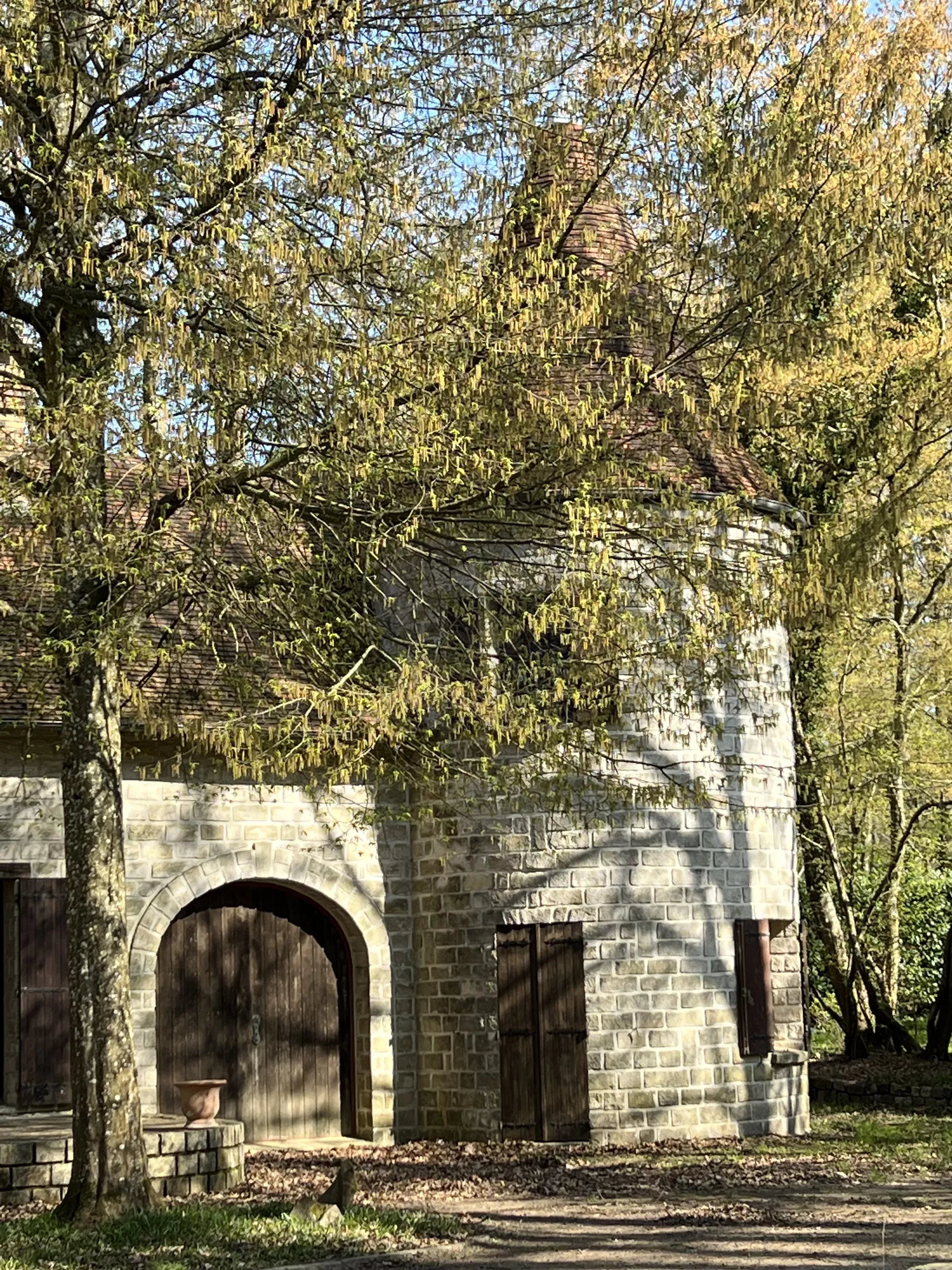 Agence immobilière de Agence l'Angelus de Barbizon