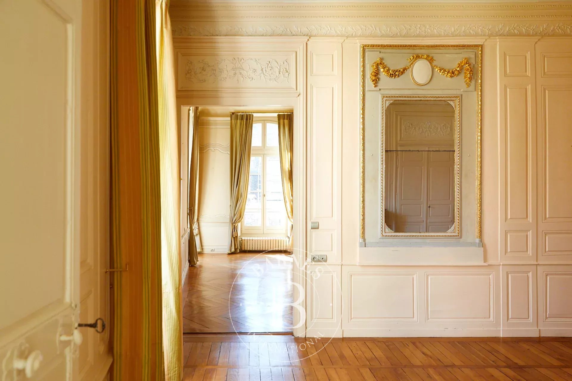 Beaune  - Hôtel particulier 18 Pi&egrave;ces 5 Chambres - picture 3