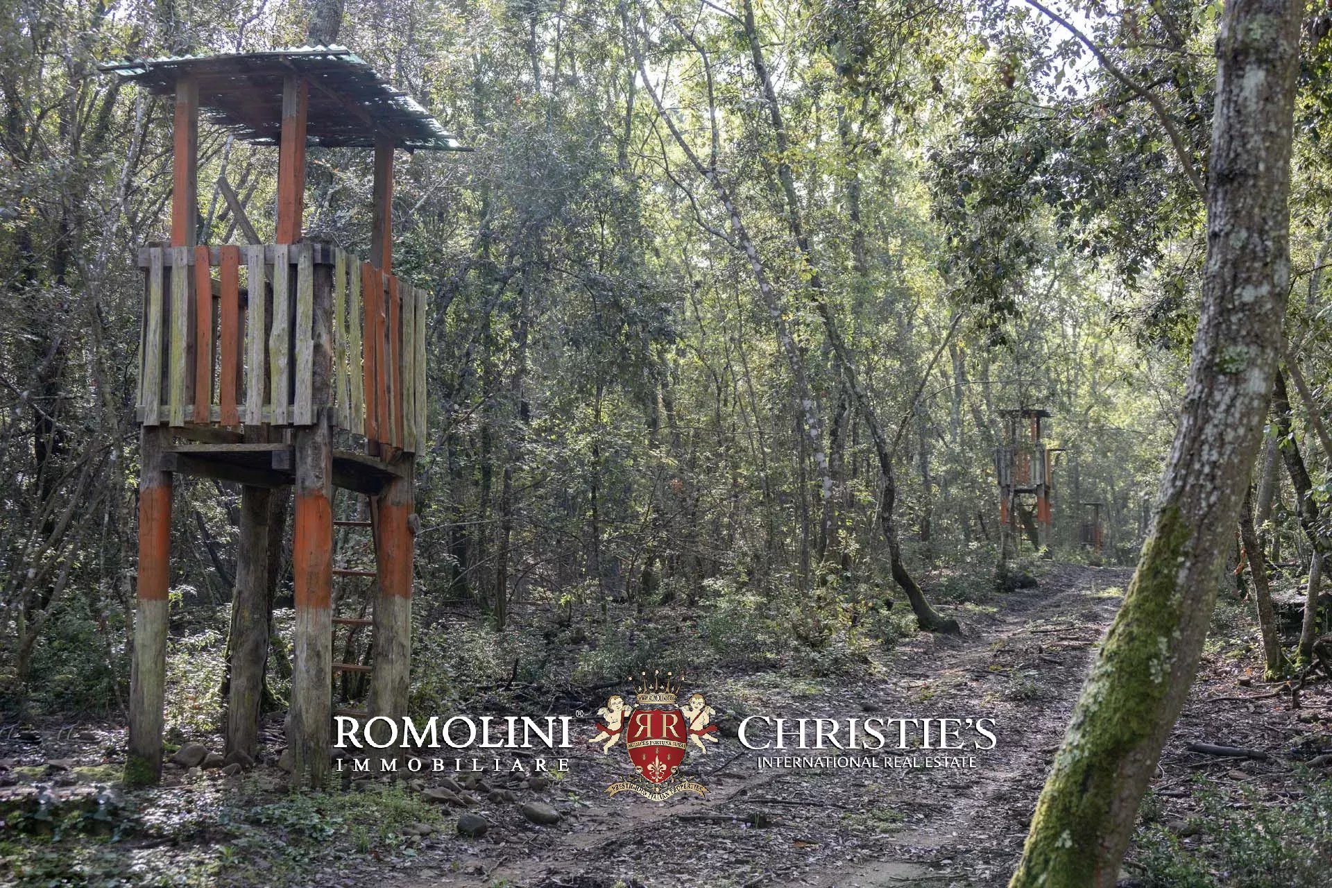 324-HA HUNTING RESERVE WITH DEVELOPMENT PROJECT FOR SALE IN MAREMMA, TUSCAN COAST