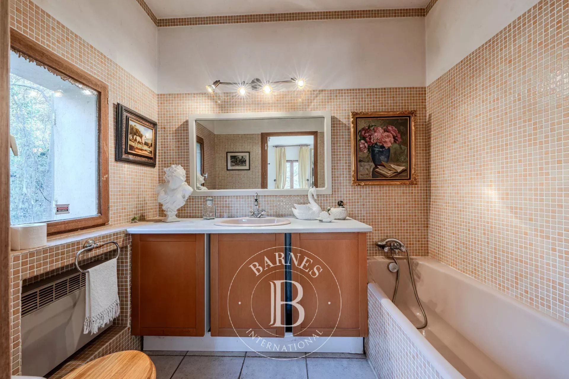 Mülkiyet Valensole - picture 15