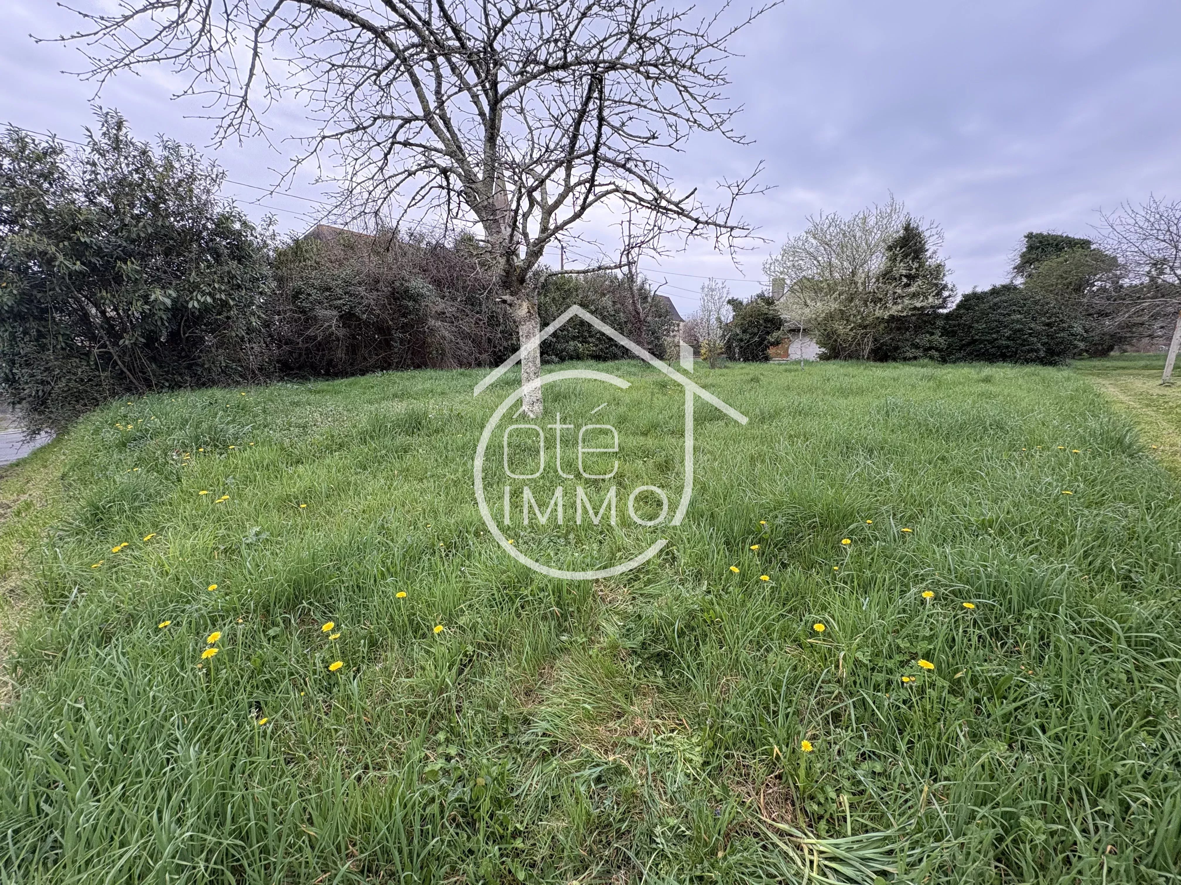 Agence immobilière de Agence Coteimmo.fr