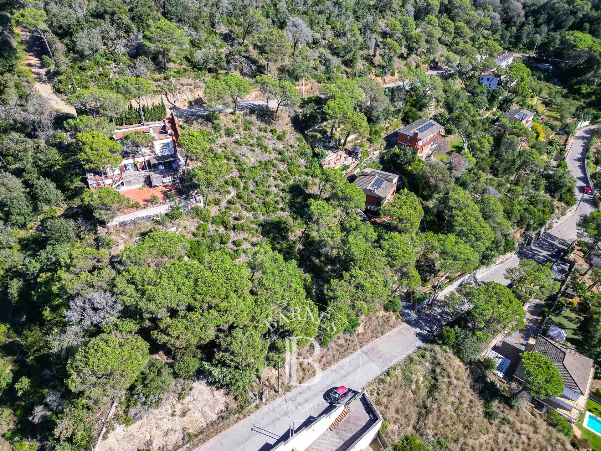 Arazi Dosríus - picture 5