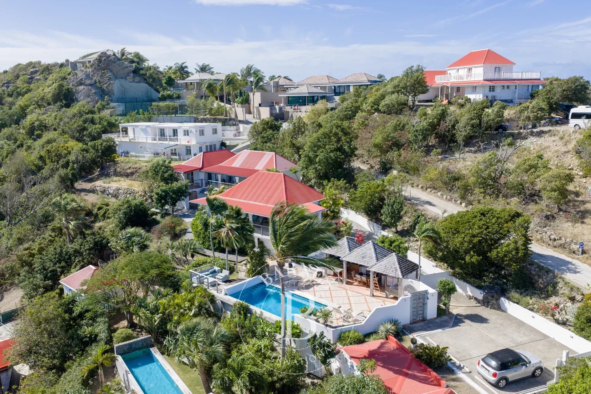 Villa Saint-Barthélemy  -  ref 86797481 (picture 3)