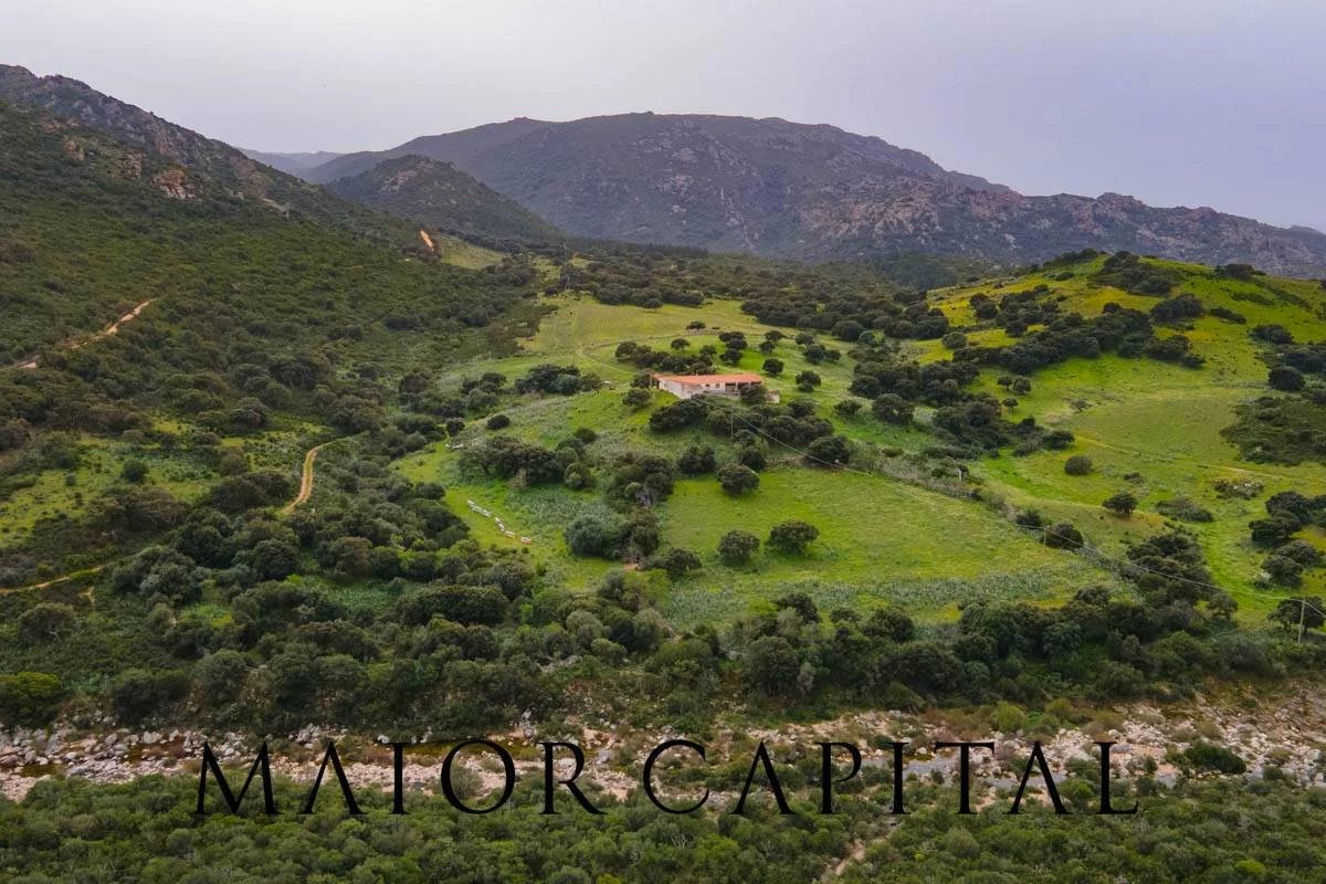 Berchidda | Terreno in posizione panoramica