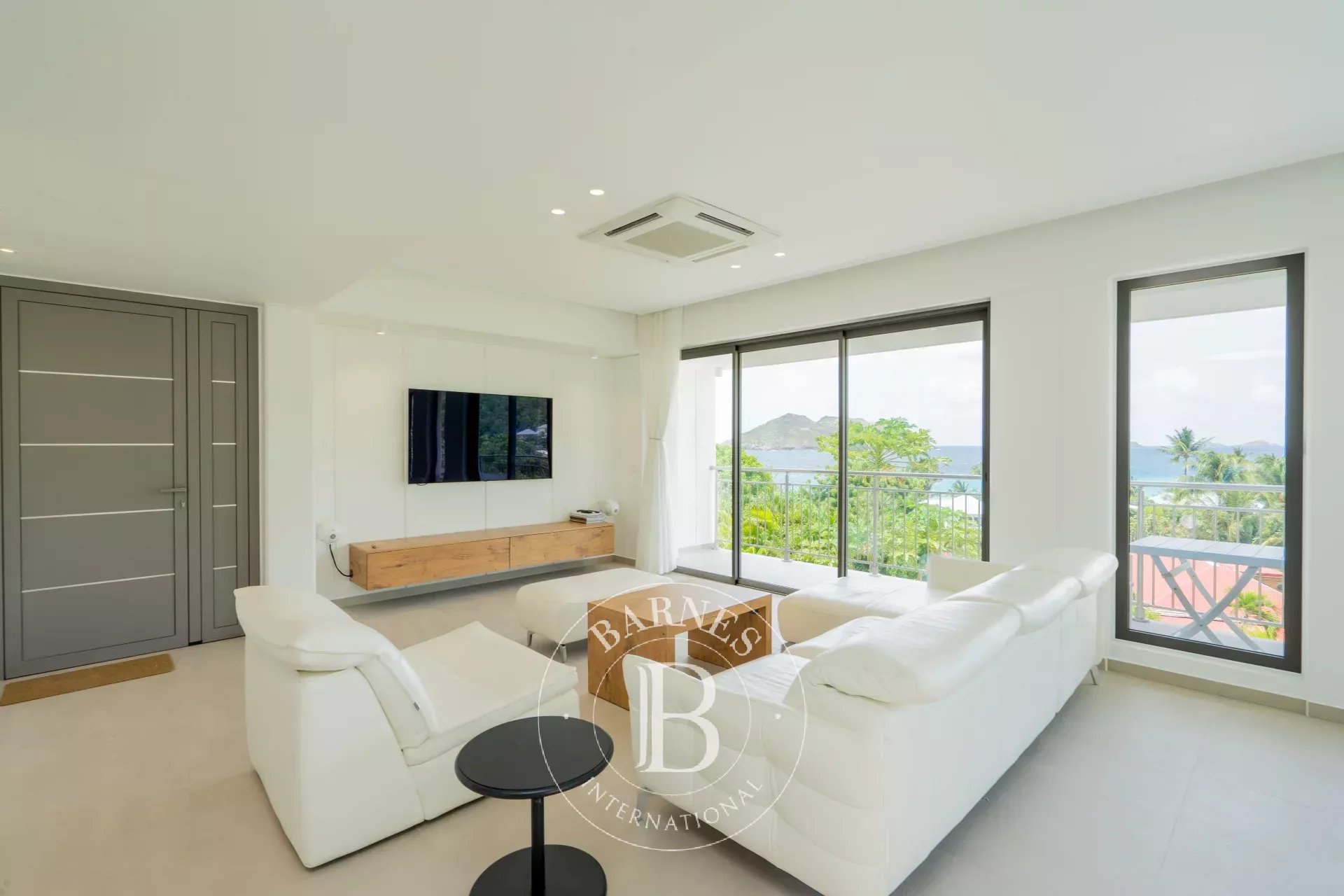 Villa Flamands - picture 8