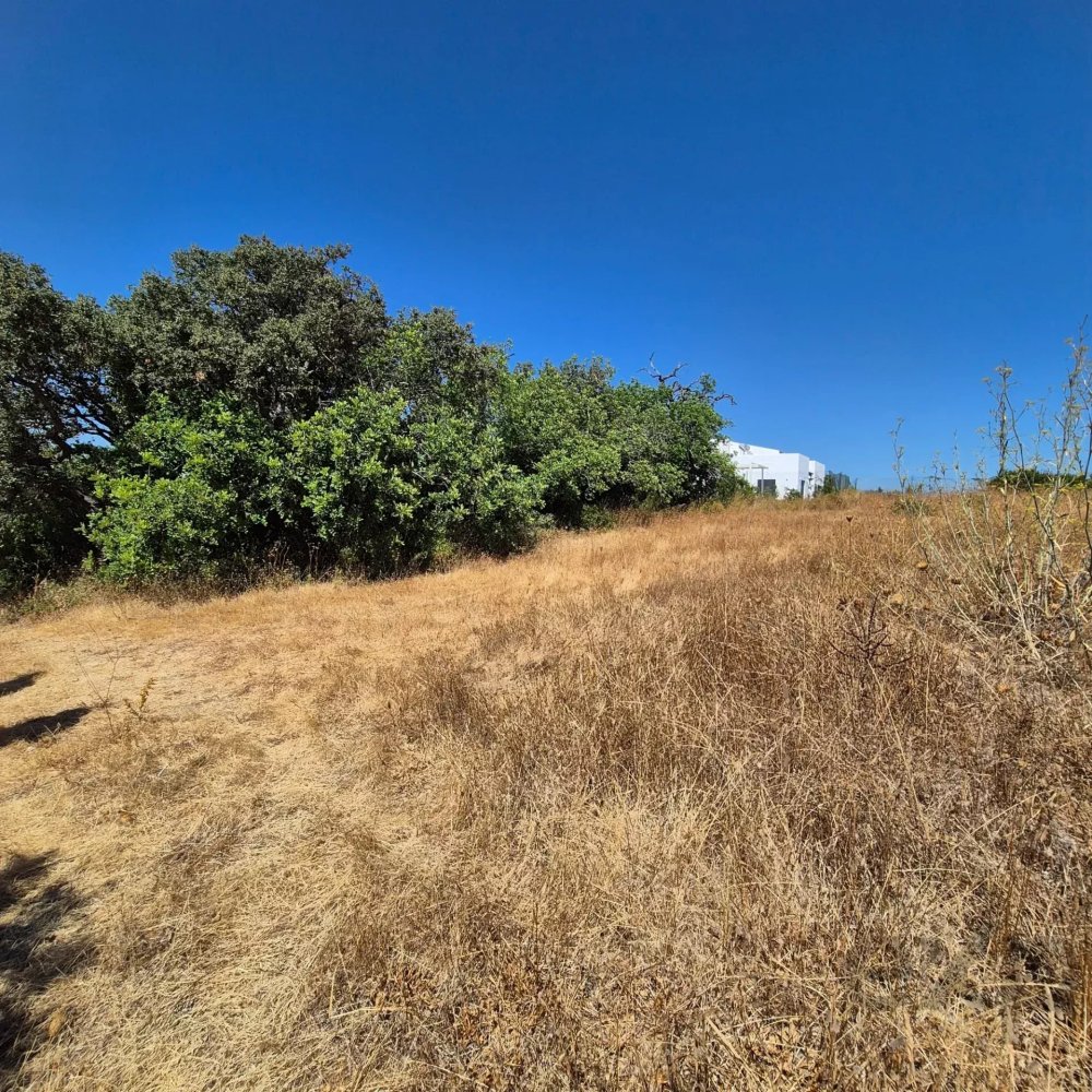 Terreno Rústico em Santa Bárbara de Nexe