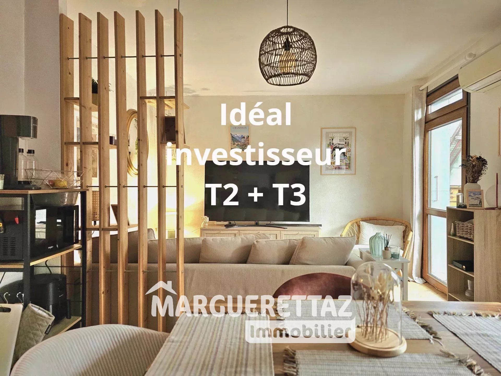 LOT DE 2 APPARTEMENTS T2+T3 AVEC CAVES ET GRANDE TERRASE