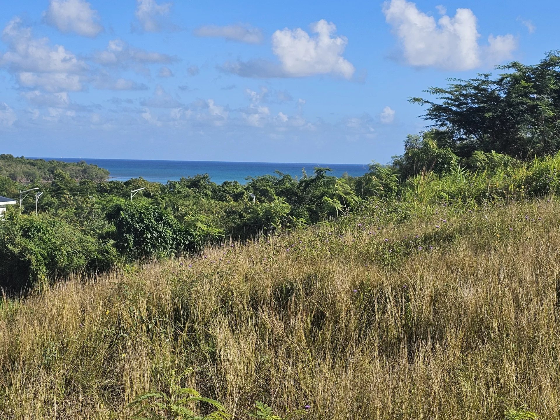 EXCEPTIONNEL – TERRAIN CONSTRUCTIBLE DE 623 M² AVEC VUE MER ! LE DIAMANT