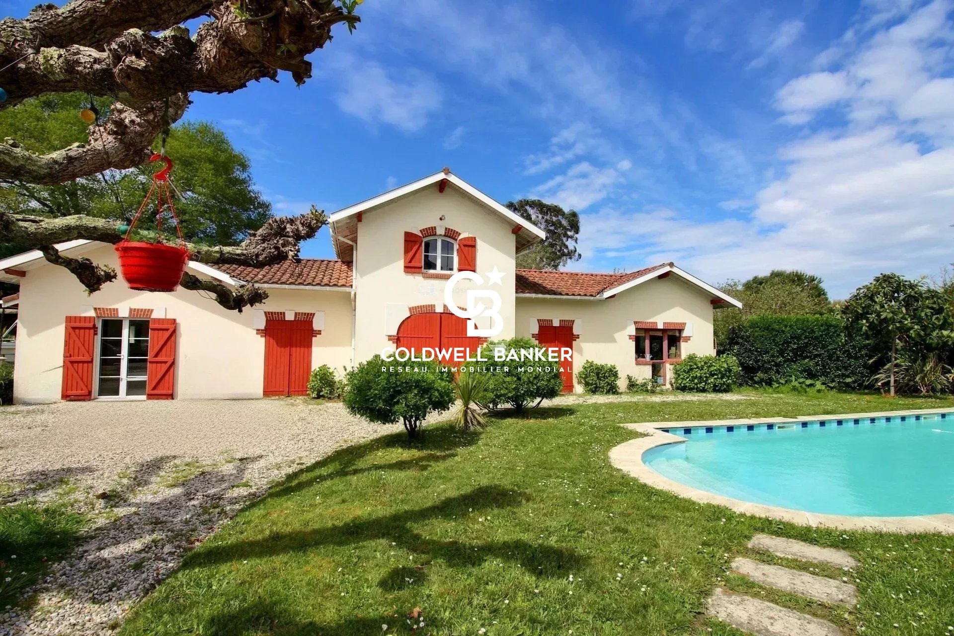 Agence immobilière de Silver Coast Int. Realty