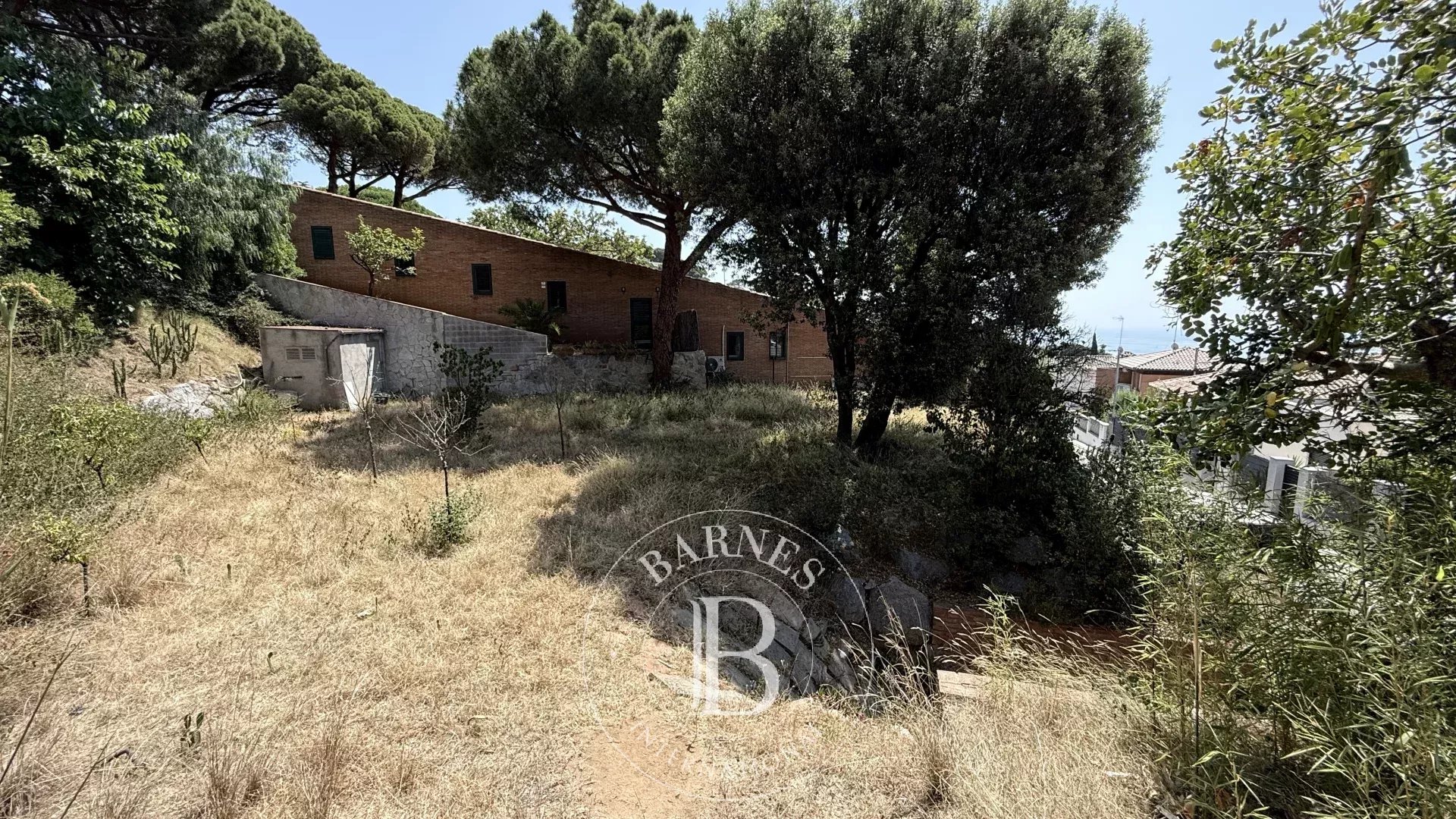 Arazi Premia de Dalt - picture 12