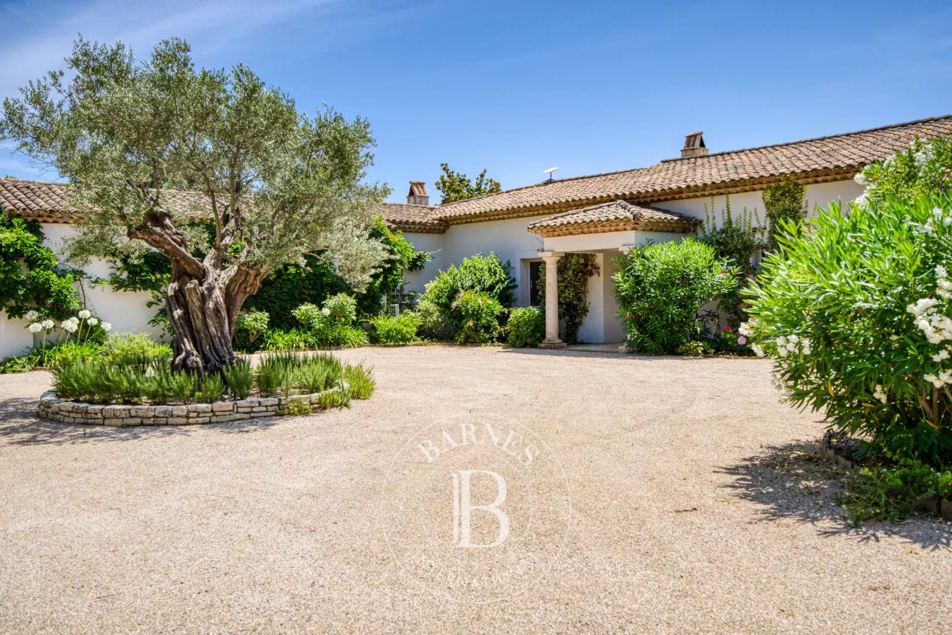 Ev Grimaud - picture 11