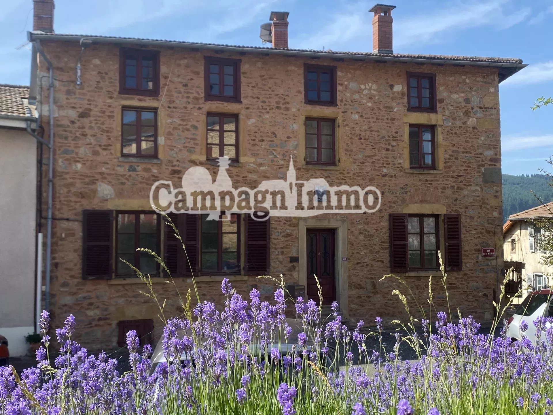 Agence immobilière de 