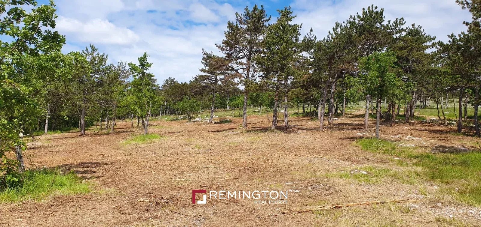Land/Vacant Land's Image 6