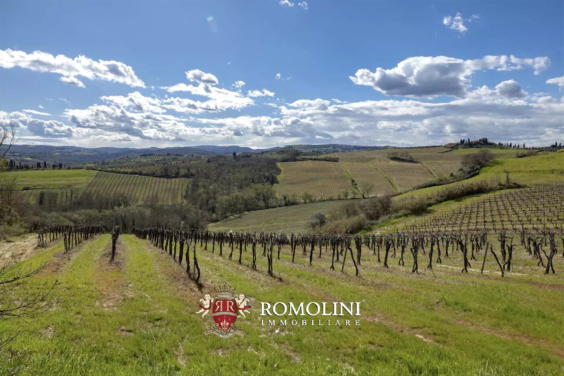 15 Bedroom Vineyard's Image 14