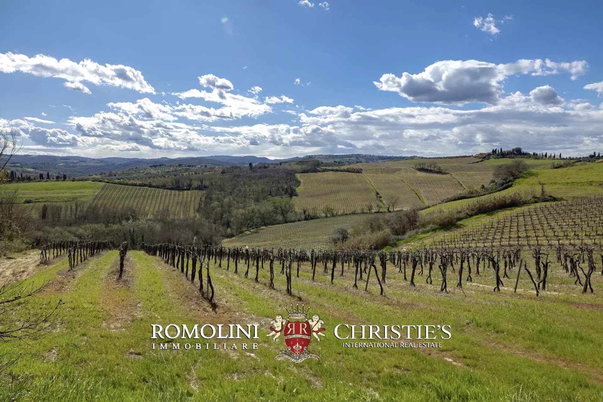 15 Bedroom Vineyard's Image 14