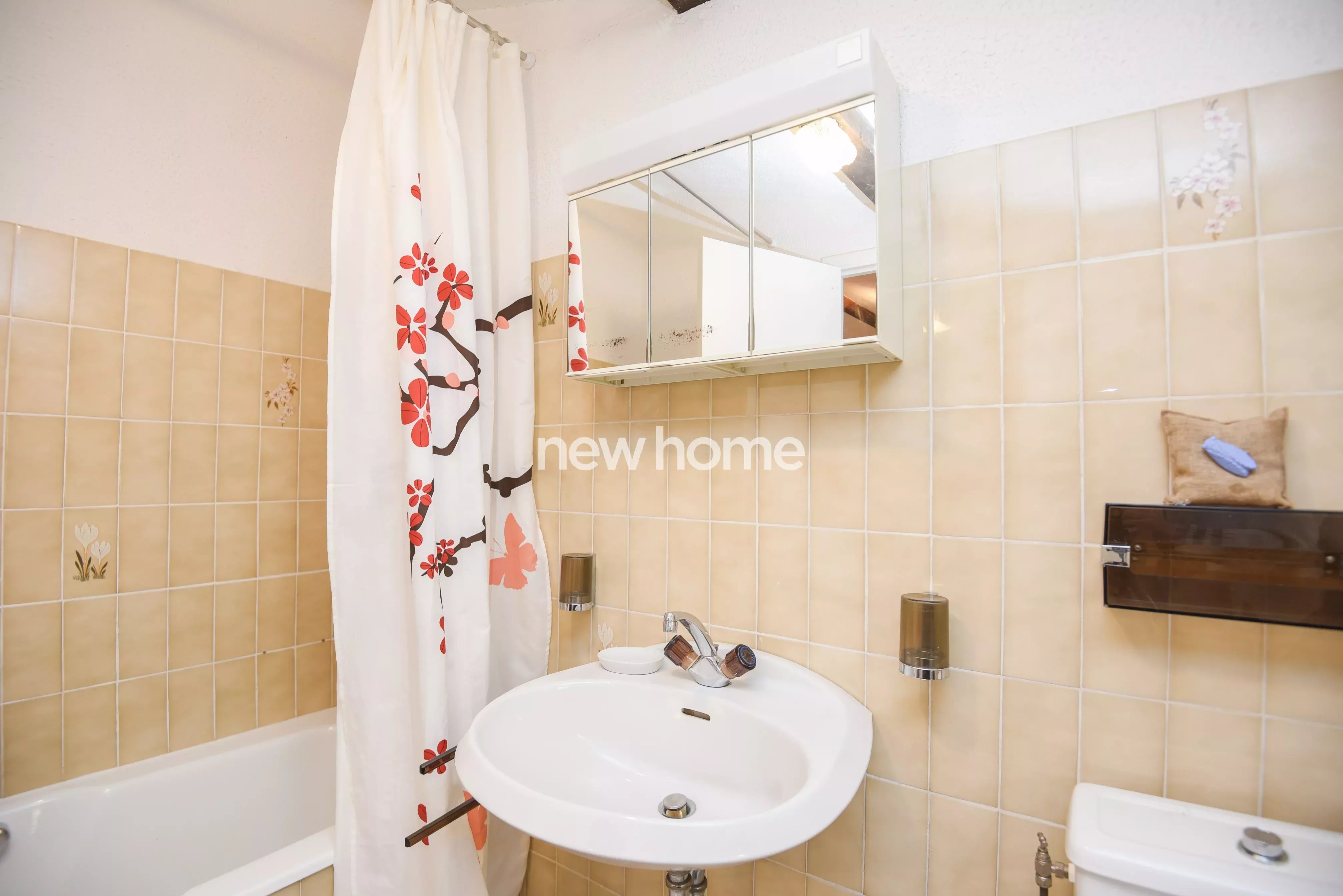 Belle propriété avec des oliviers et gîte indépendant