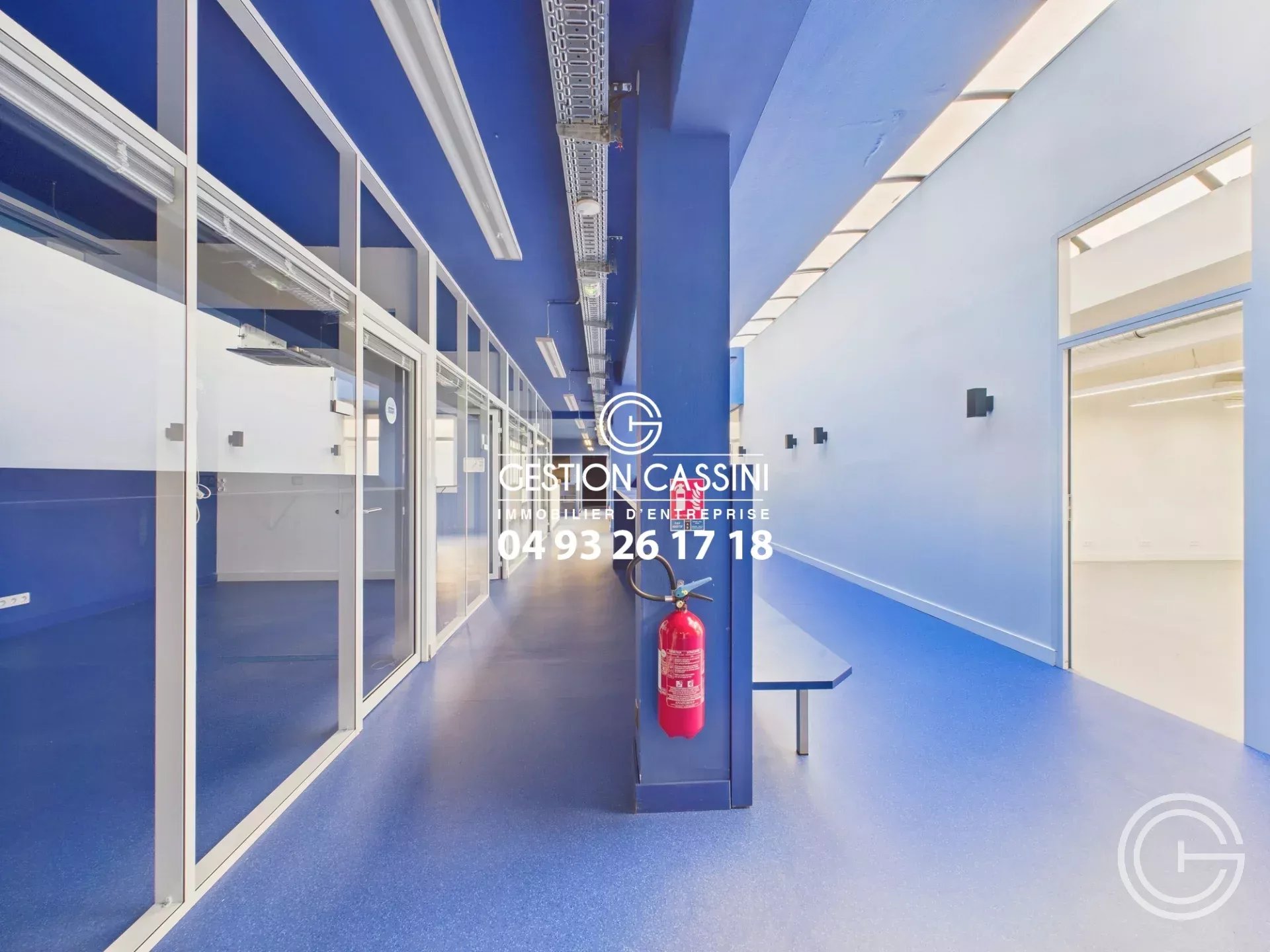 Location Local commercial Nice