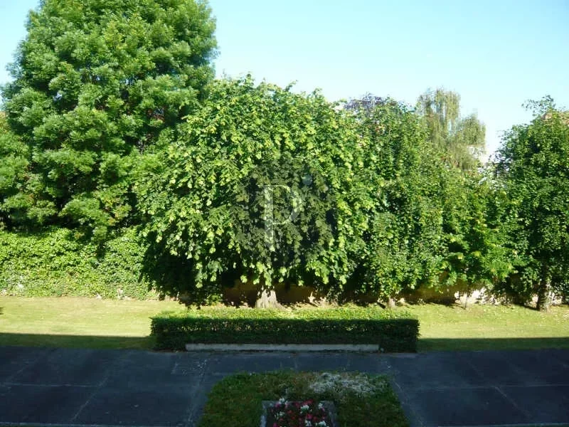 vente-appartement-3-pieces-sceaux-83876764