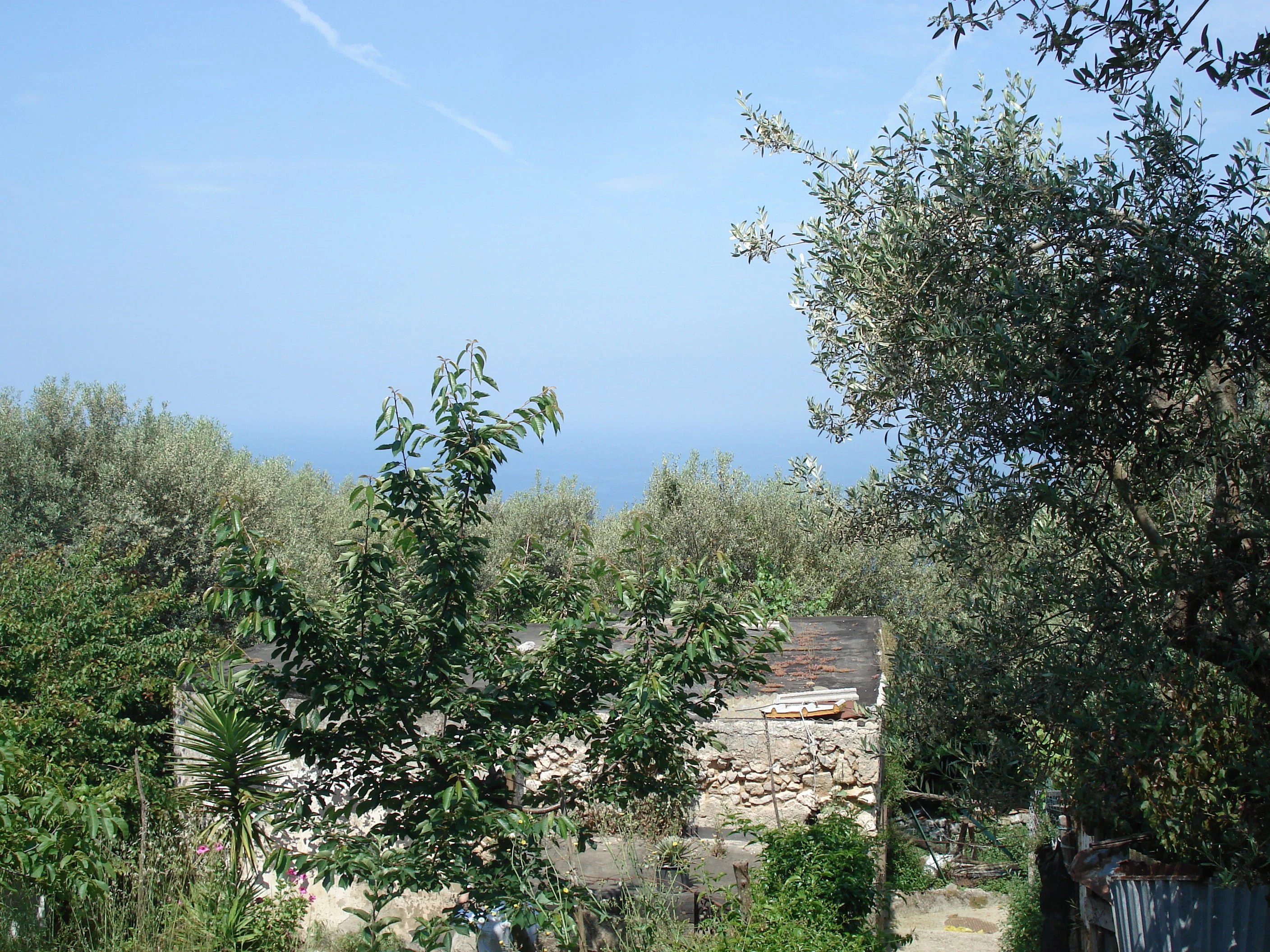Casaletto à Anacapri - picture 9