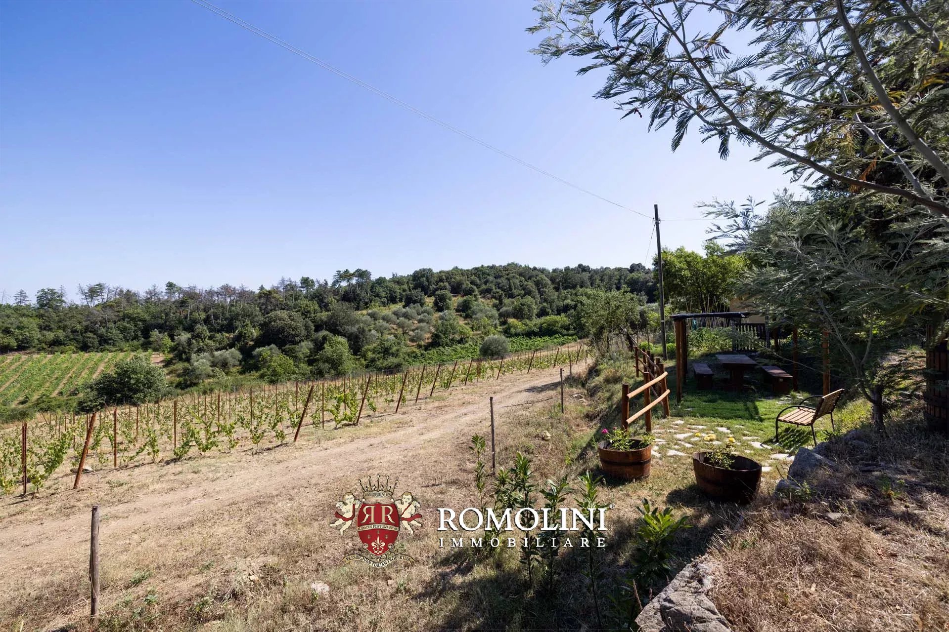 19 Bedroom Vineyard's Image 26