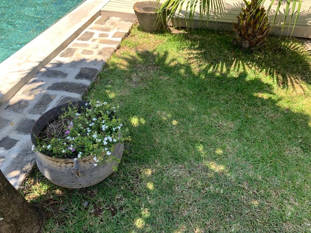 Villa Pereybère - picture 31