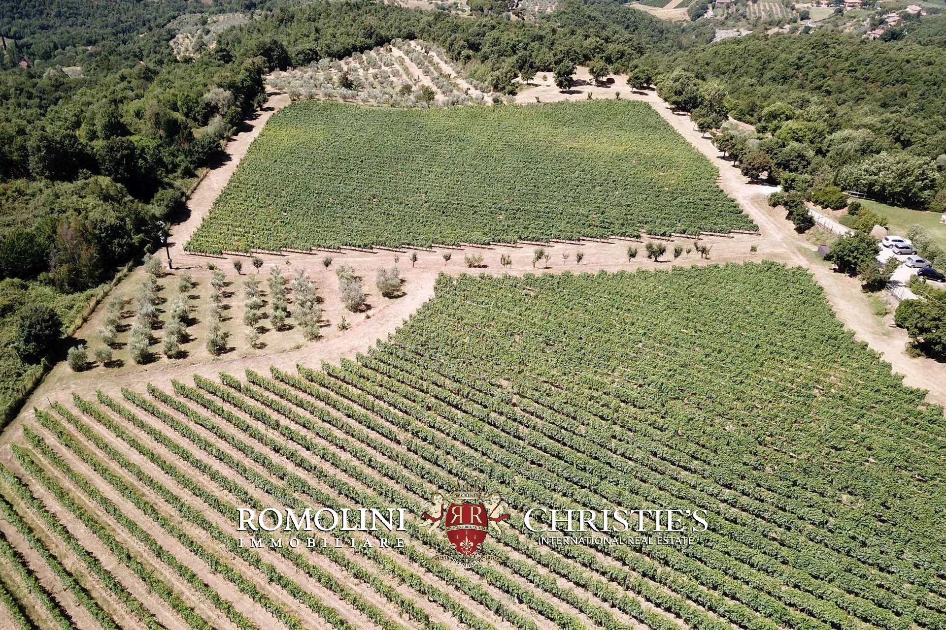 TENUTA VINICOLA BIOLOGICA IN VENDITA, CANTINA BIO TOSCANA