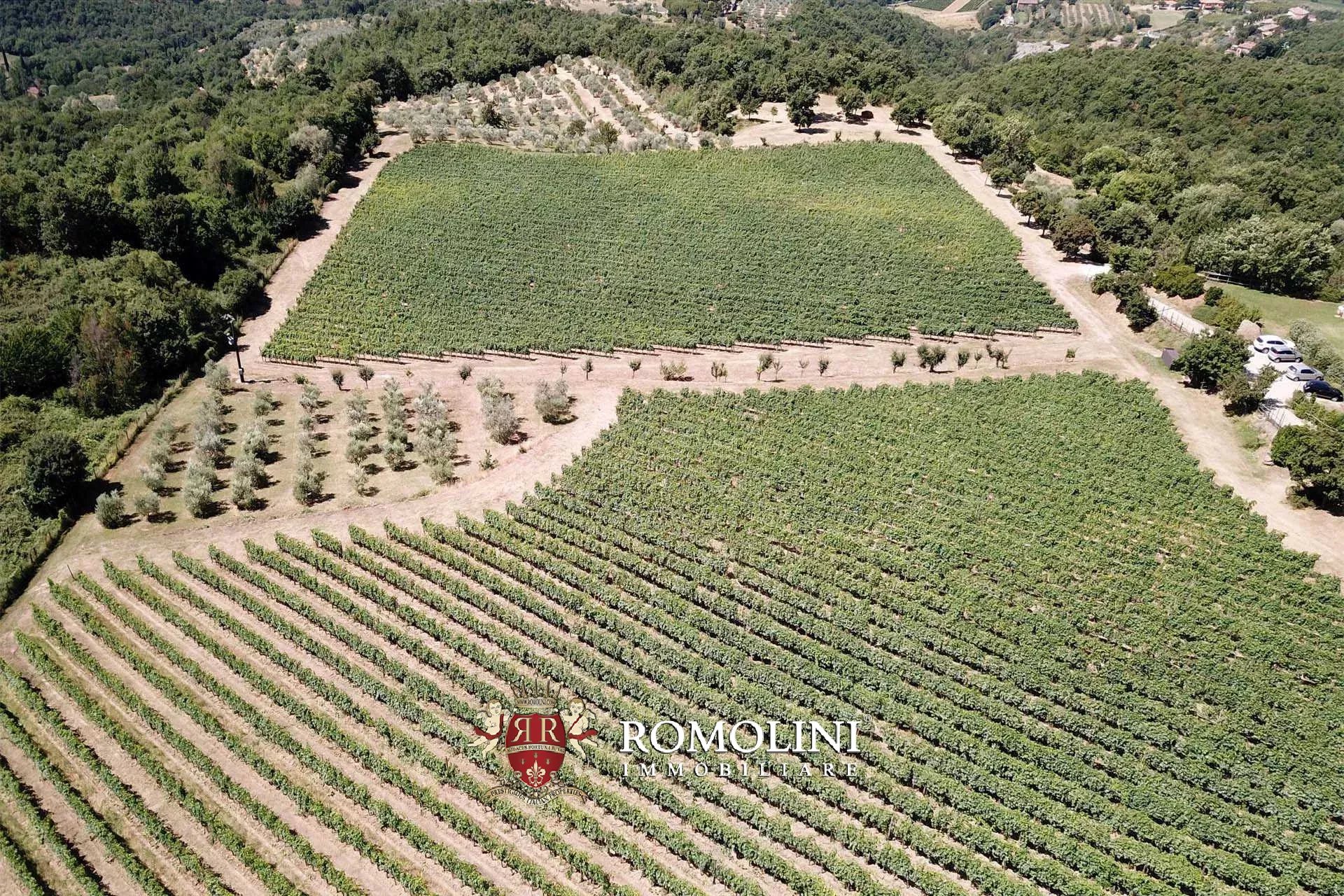 16 Bedroom Vineyard's Image 32