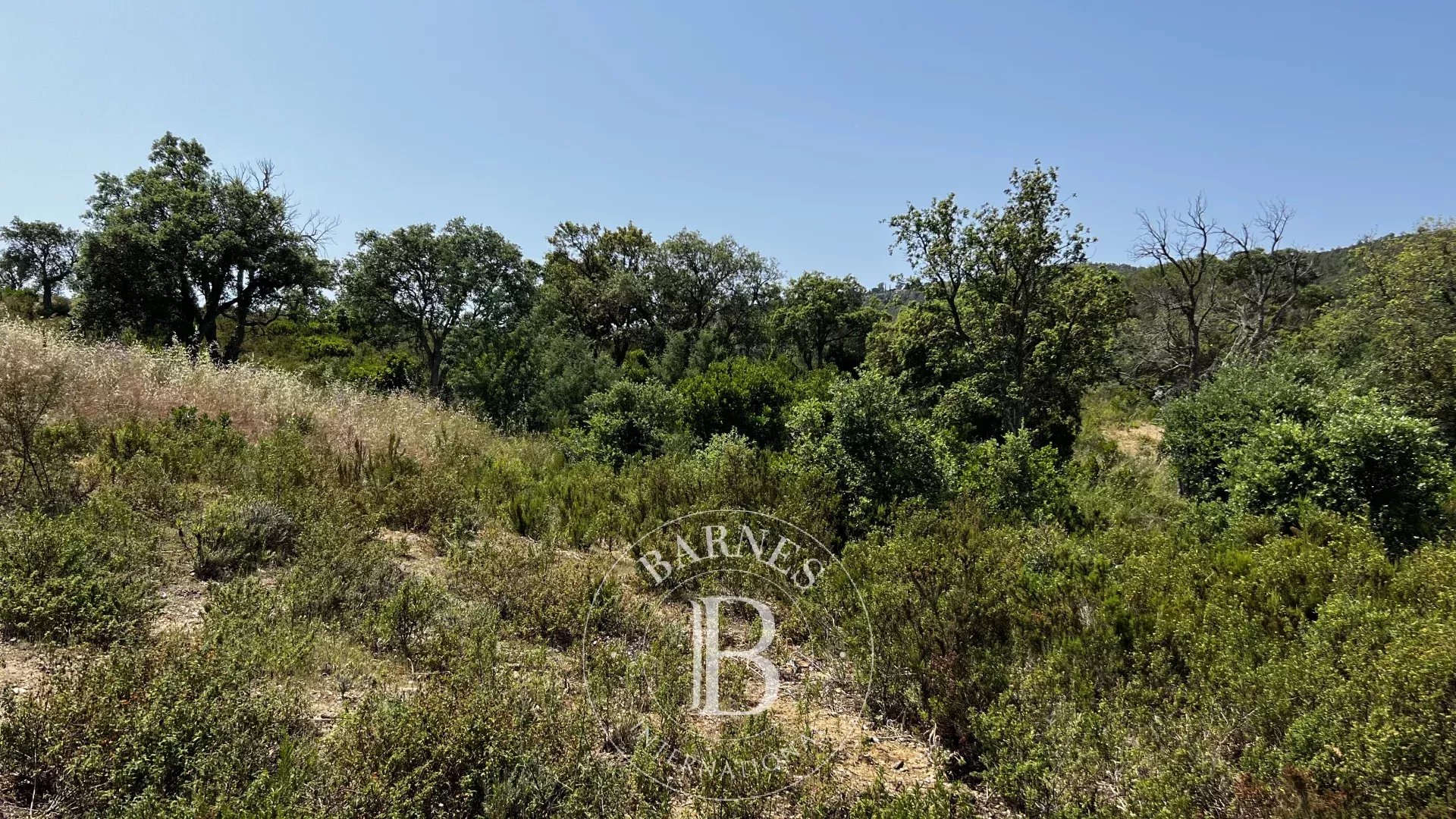 Arazi Bormes-les-Mimosas