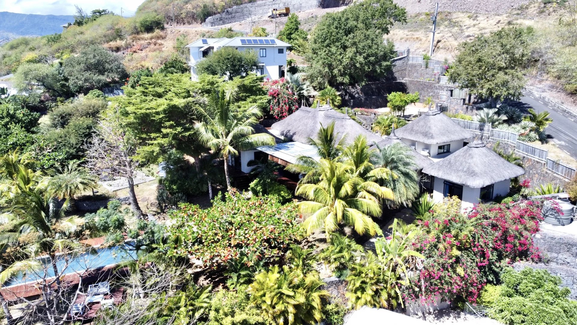 Ev Tamarin - picture 17