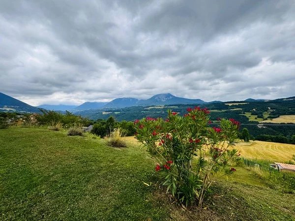 Agence immobilière de ESPACE'IMMO 38