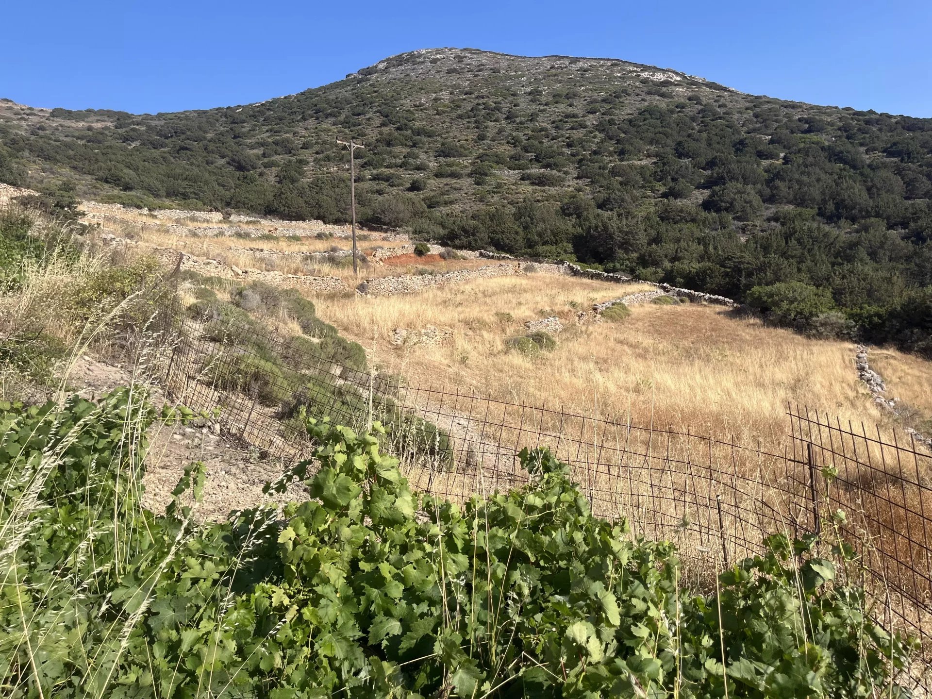 Image de la propriété 20