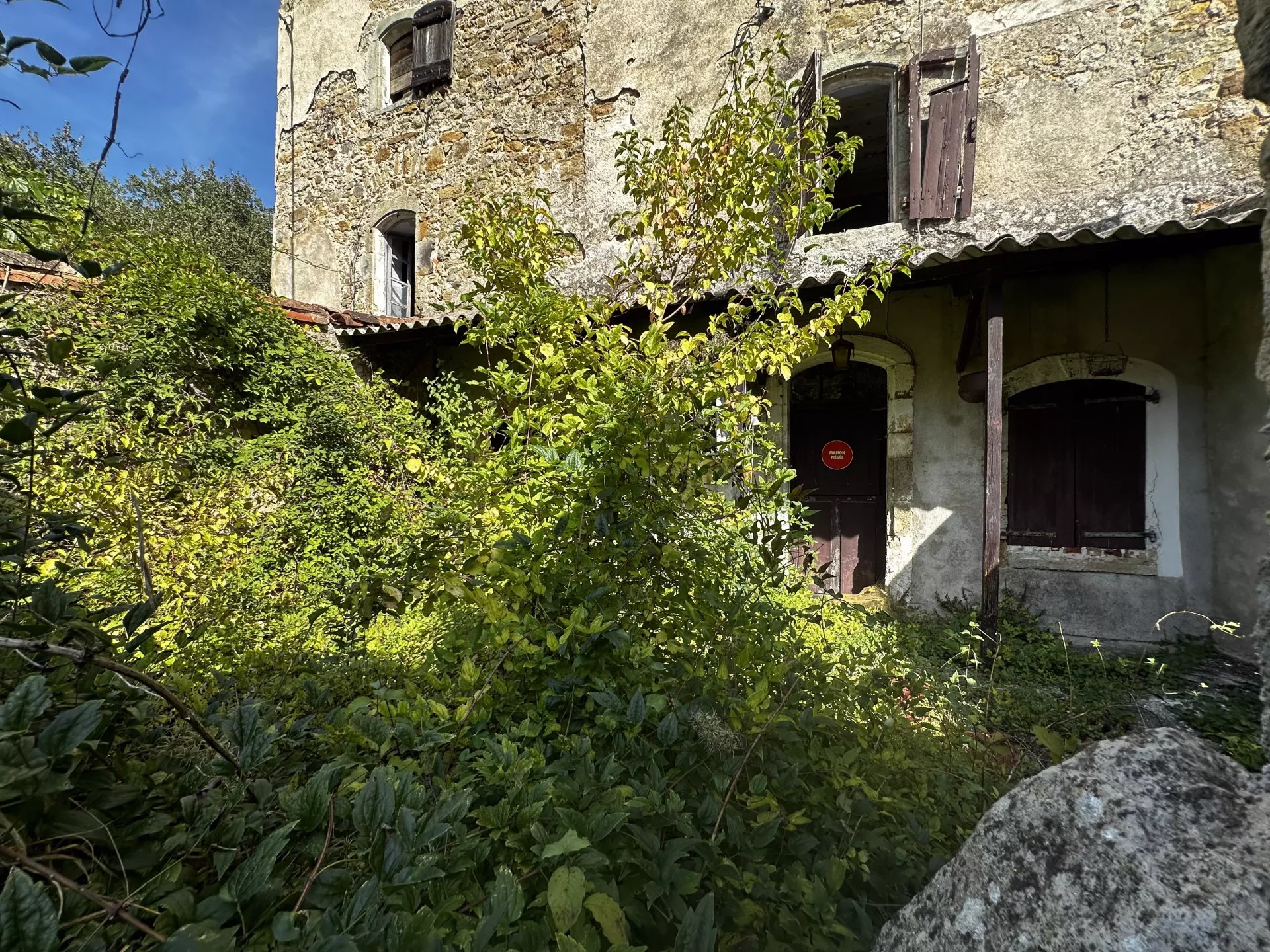 Agence immobilière de Daily Immobilier