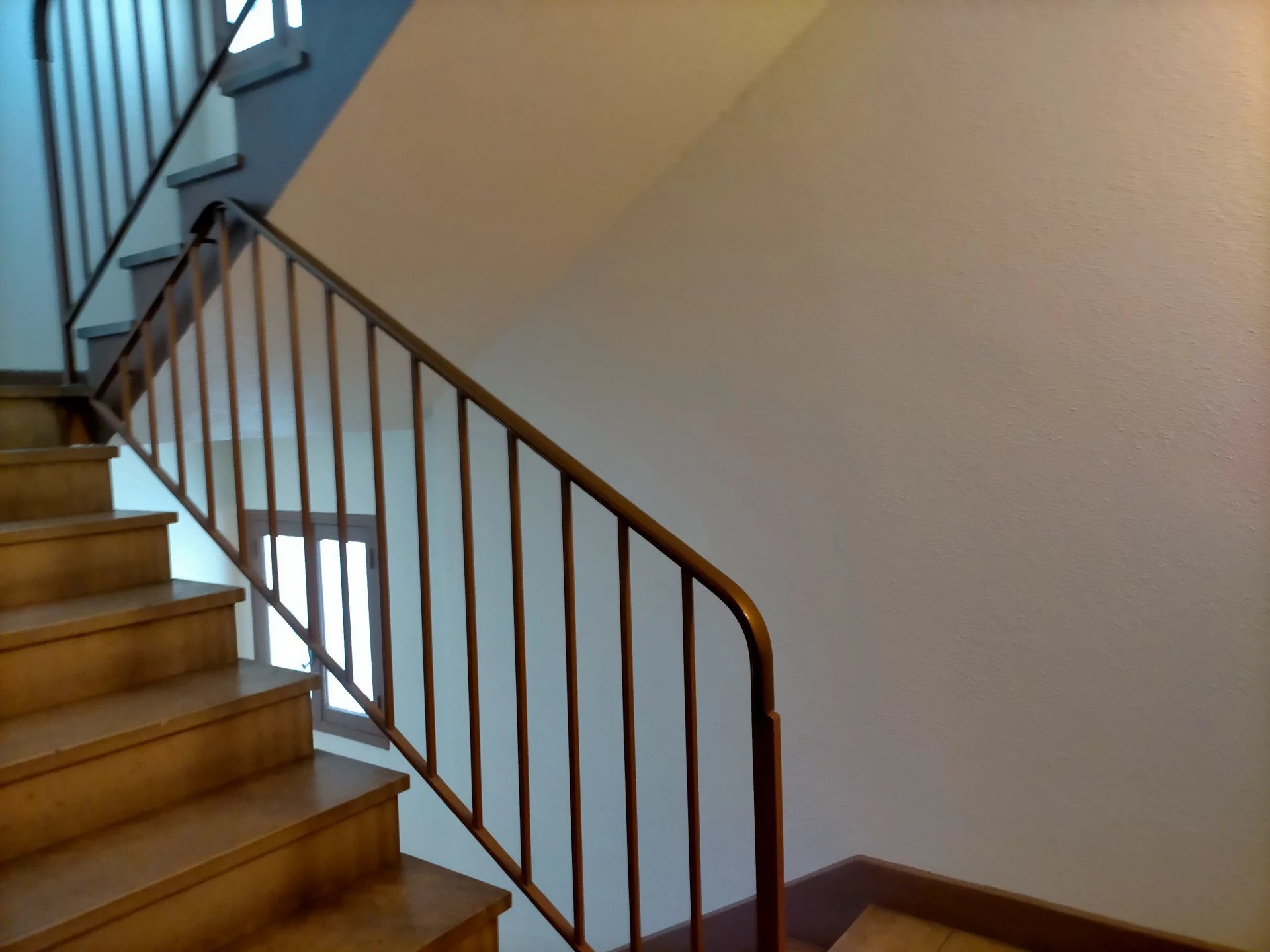 480951 Location Lyon 7ème