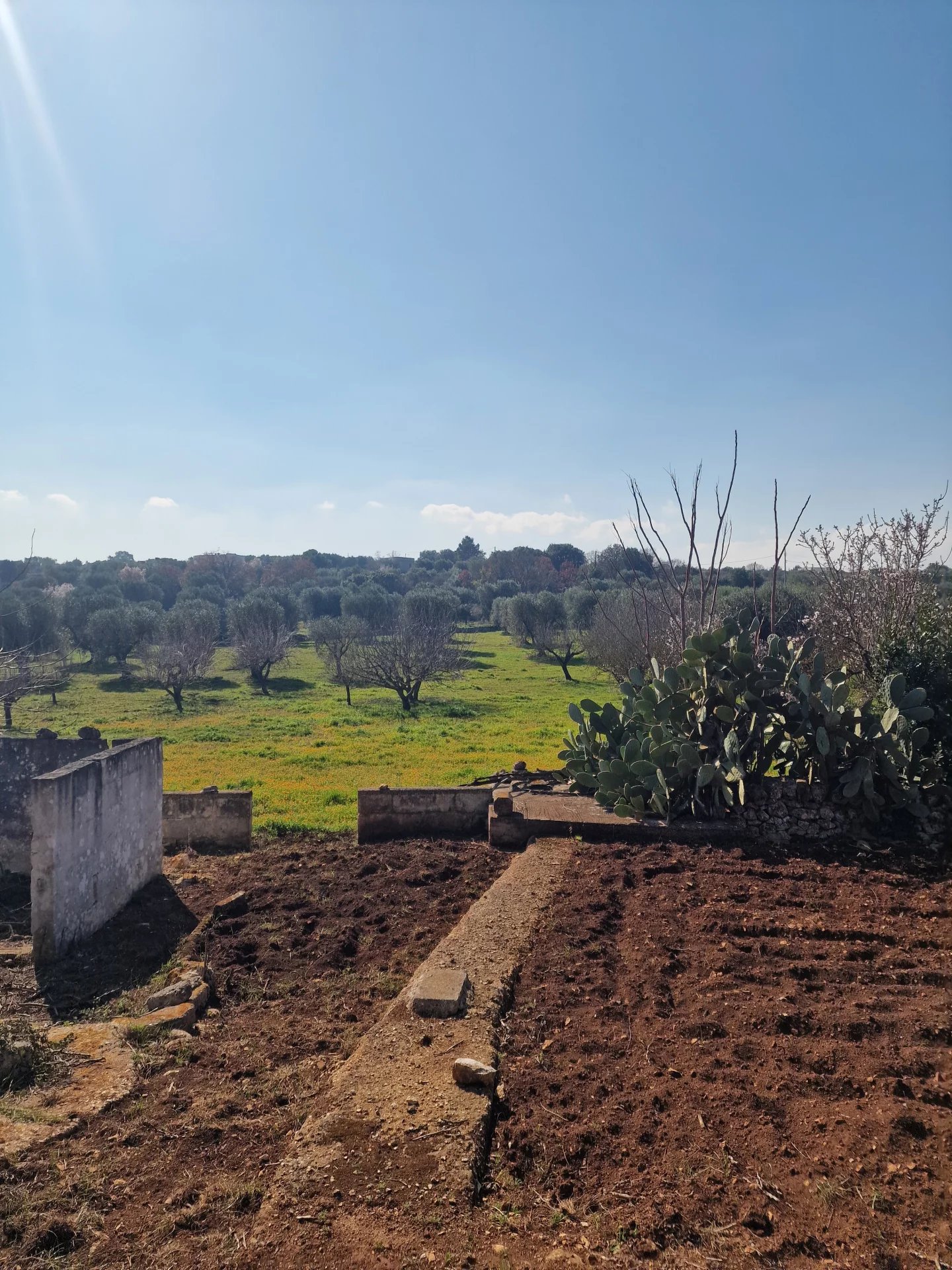 Sale Property Ostuni