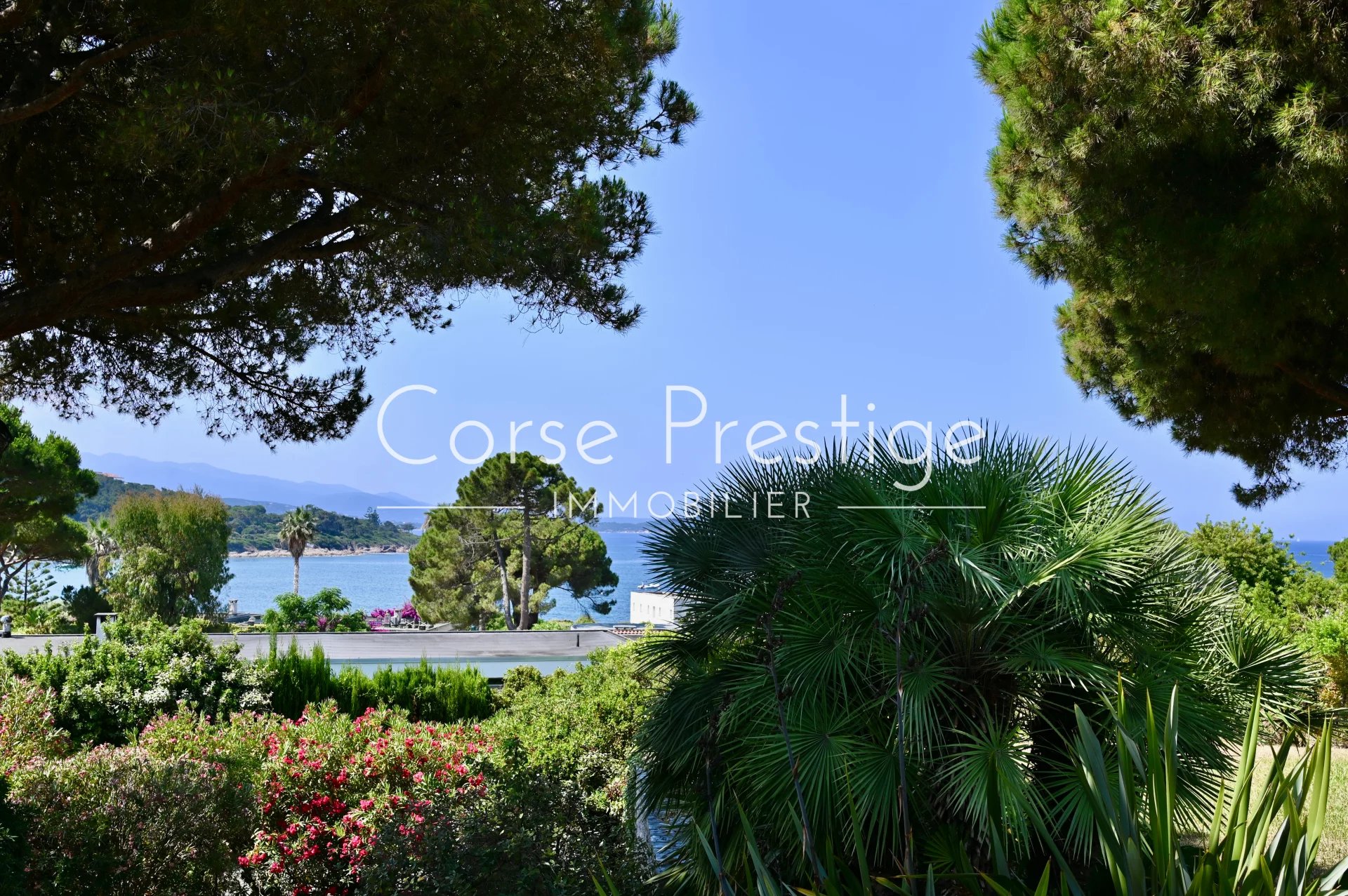 villa in private residence - sea-view - porticcio - image6