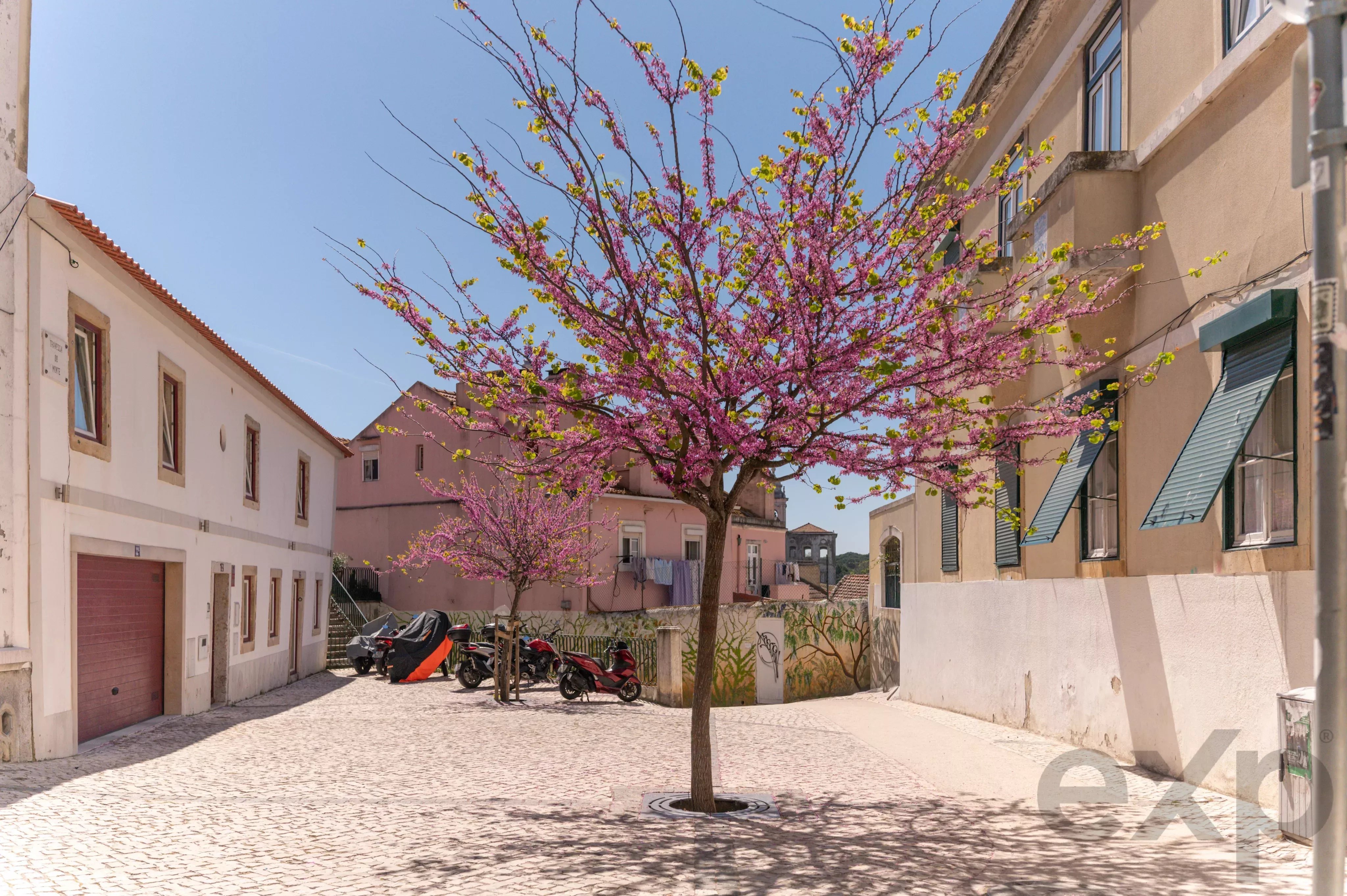 Charming 1-Bedroom Furnished Apartment in Lisboa 86902045 image 36