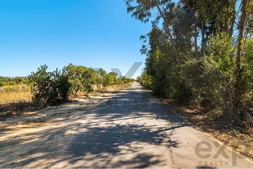 Unmissable Investment in Odemira 85507464 image 12