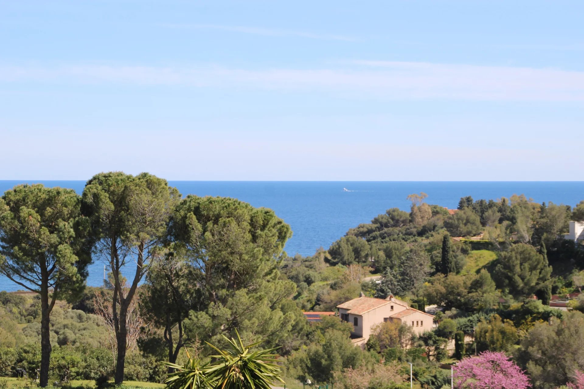 Agence immobilière de Azzurra Immobilier