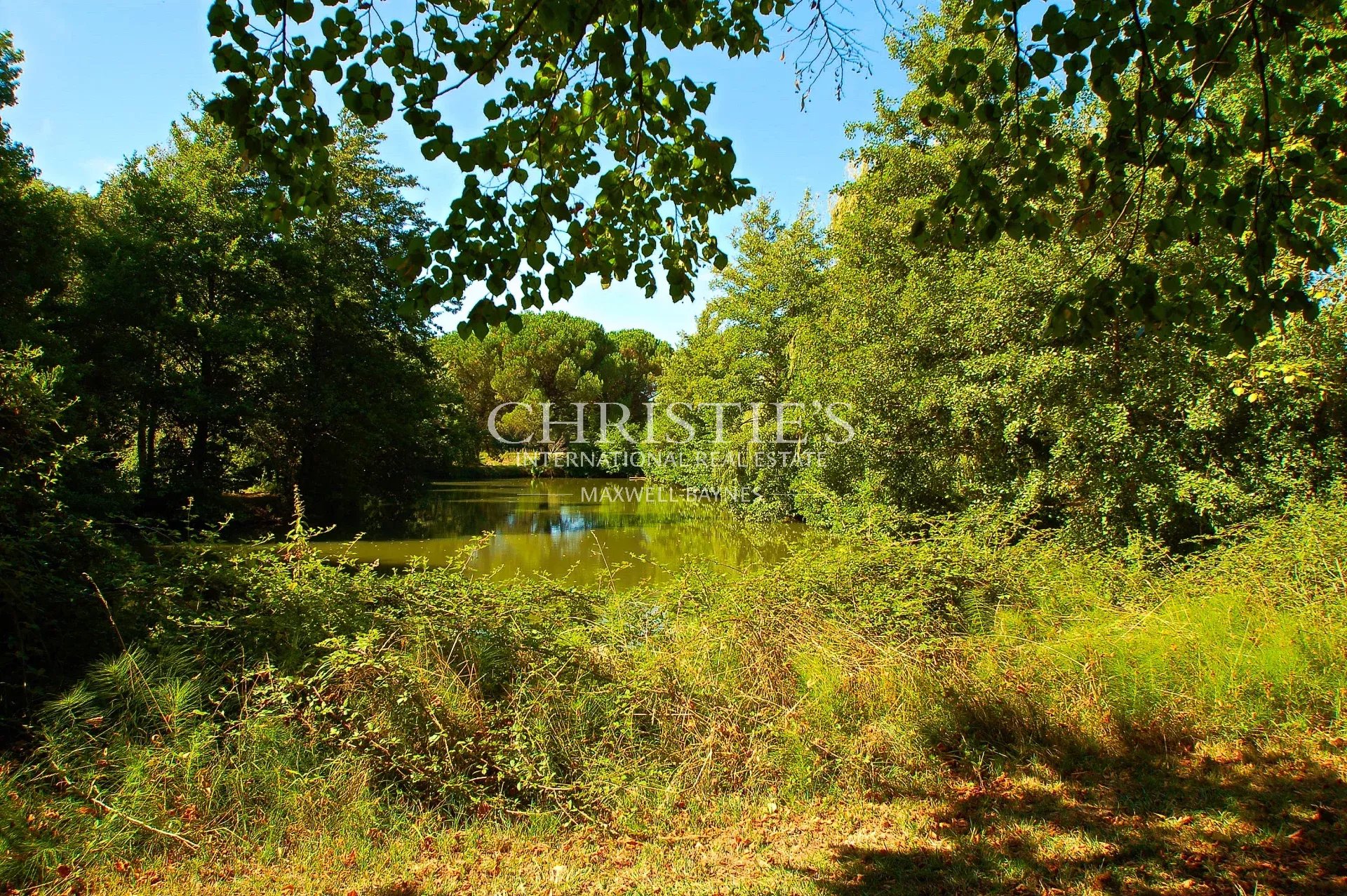 14 Bedroom Vineyard's Image 9