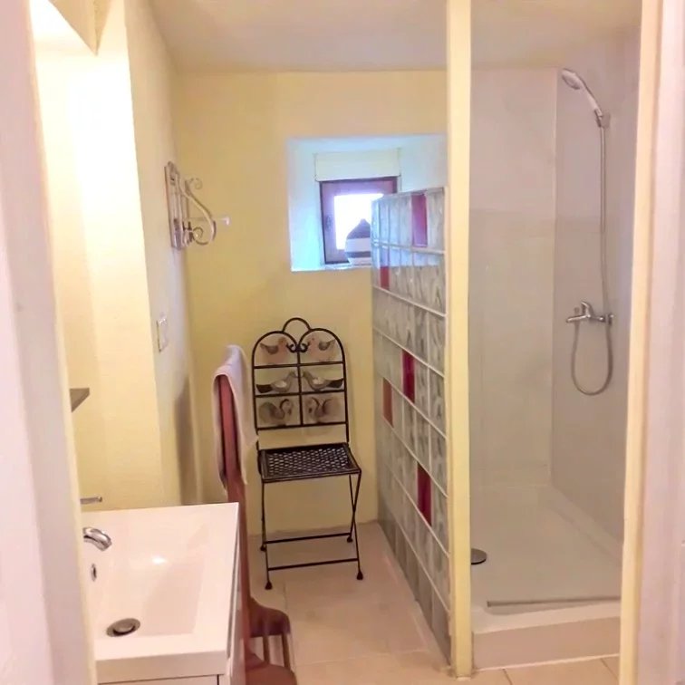 Maison d'hôtes à vendre L'Isle-en-Dodon, Haute-Garonne