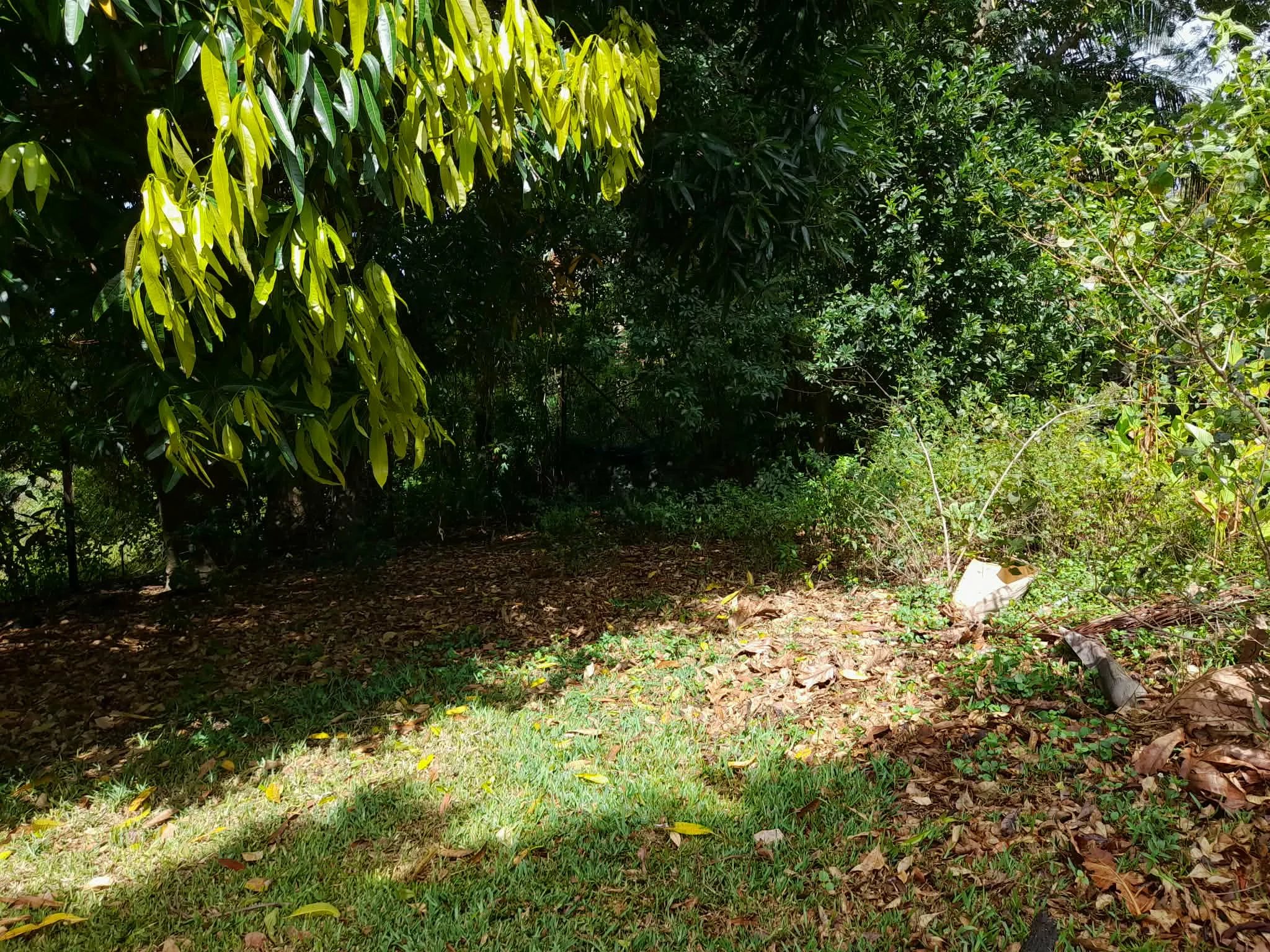 Agence immobilière de Nat'Immobilier