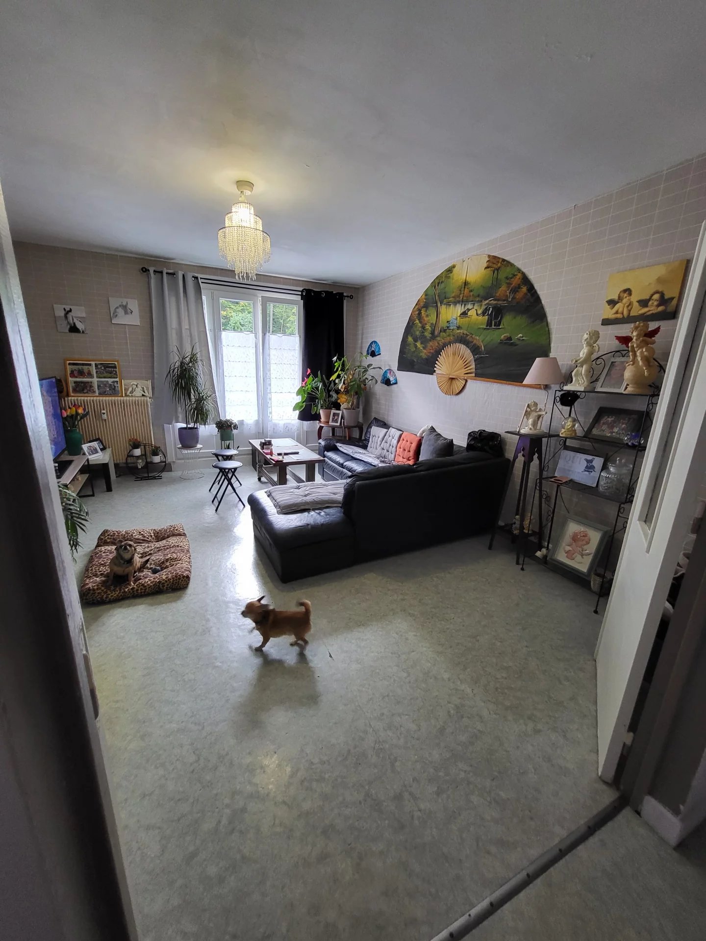 Vente Appartement Givet