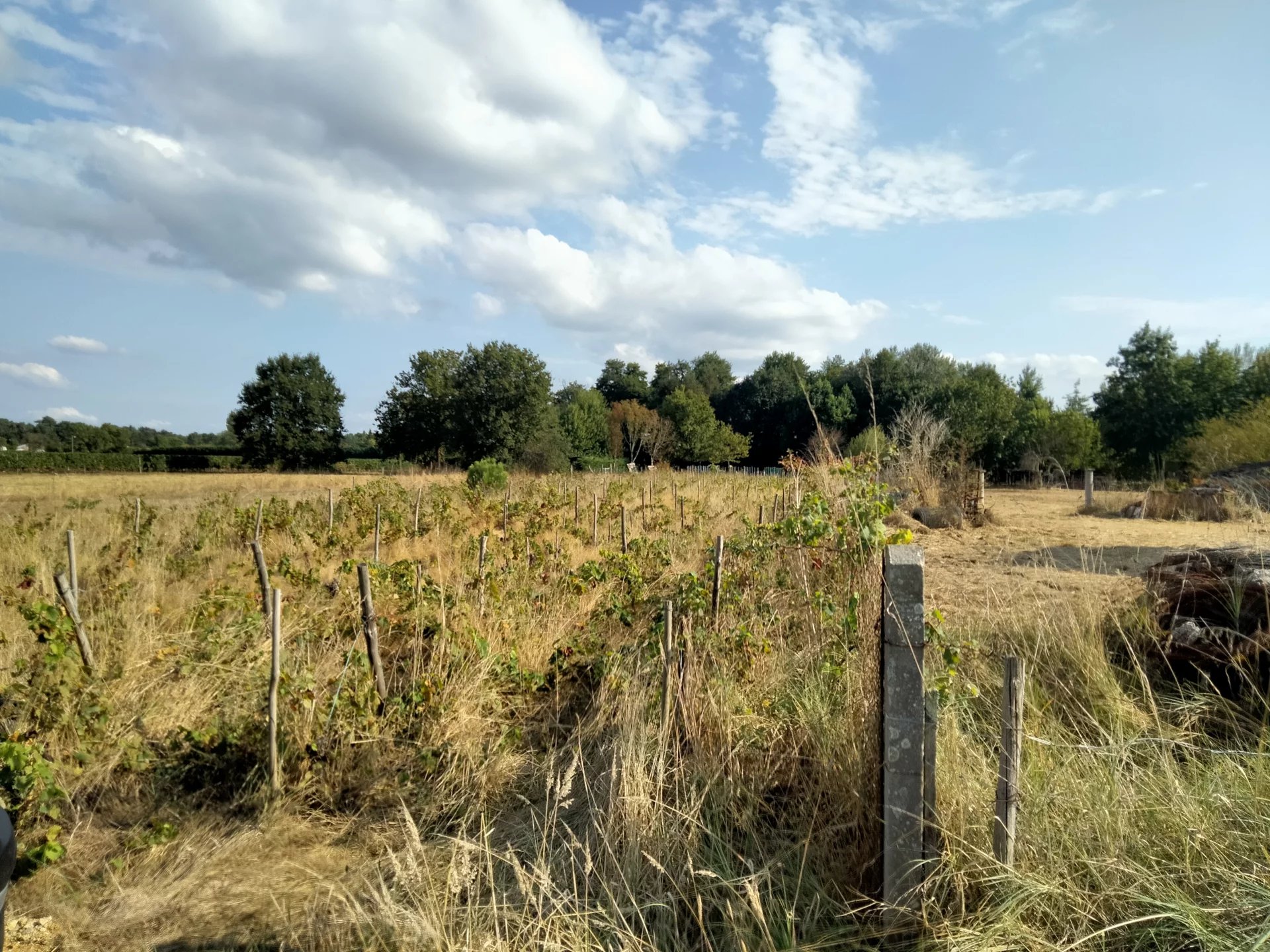 Agence immobilière de ROSER BEATRICE