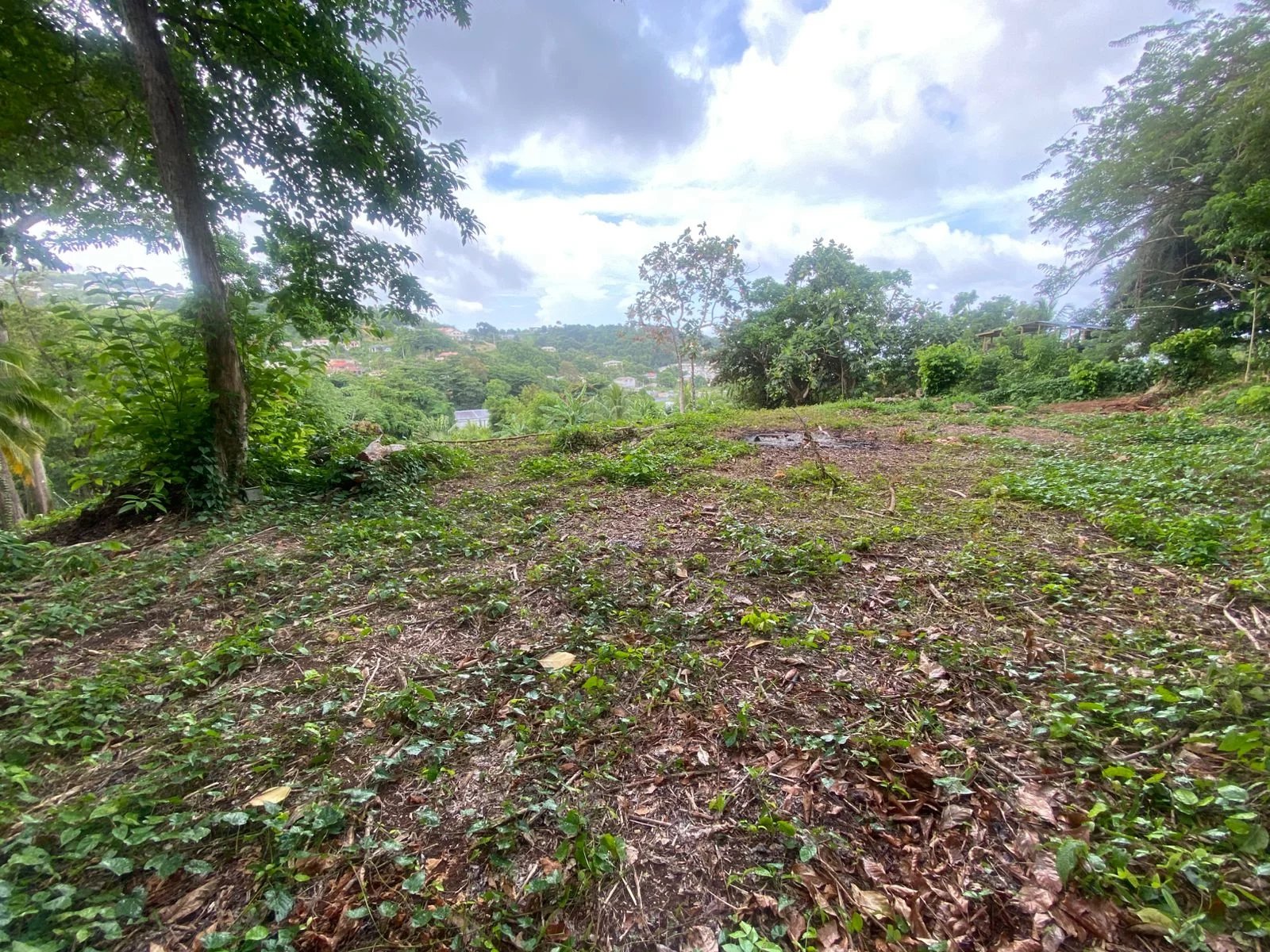 TERRAIN - 2479 M² - LA TRINITE
