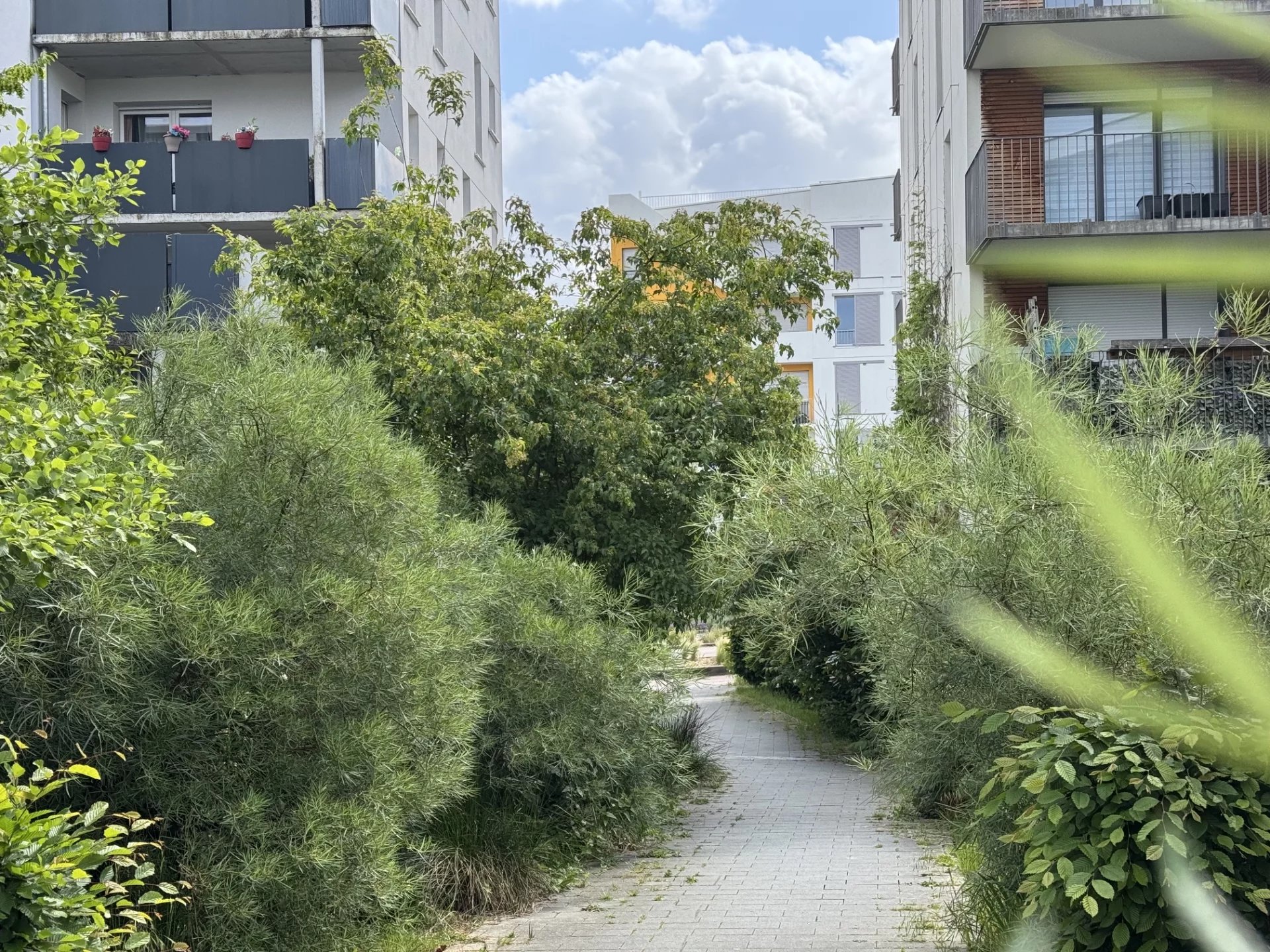 Agence immobilière de Immo Lod's