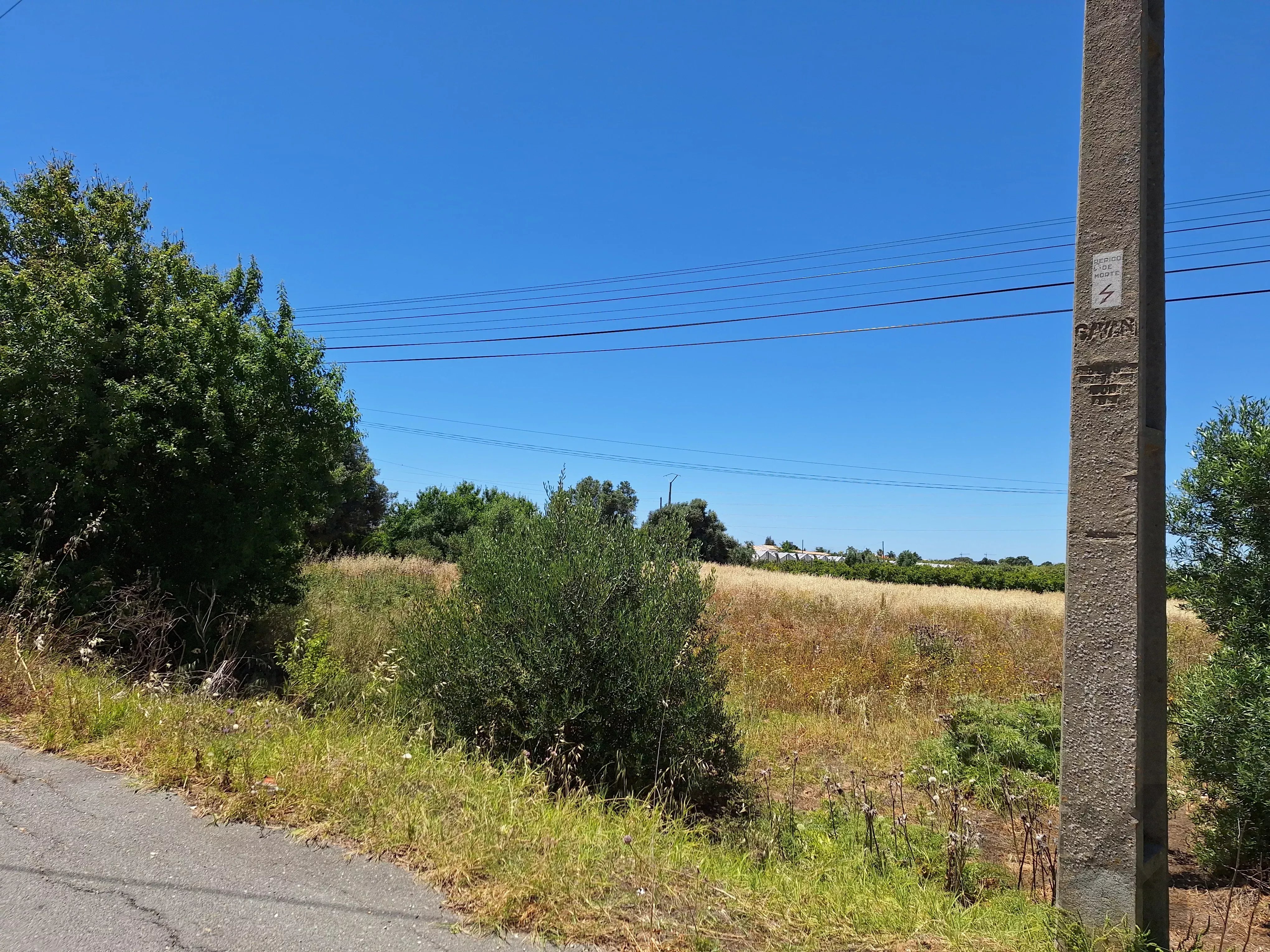 Rustic Land in Mar e Guerra 87032942 image 8