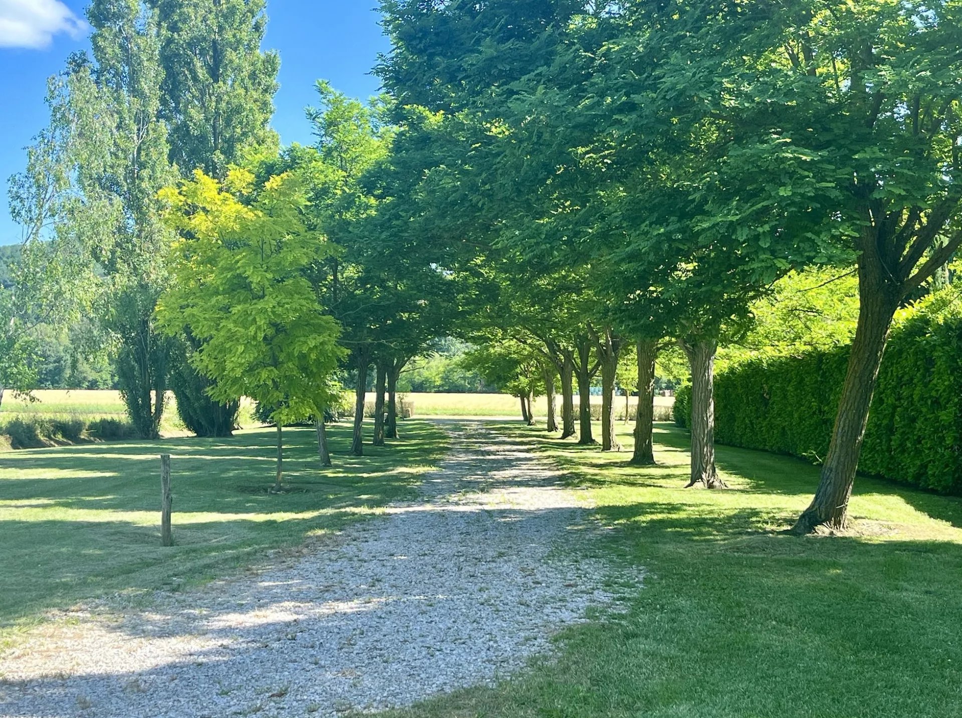 Property for sale Belvèze-du-Razès, Aude