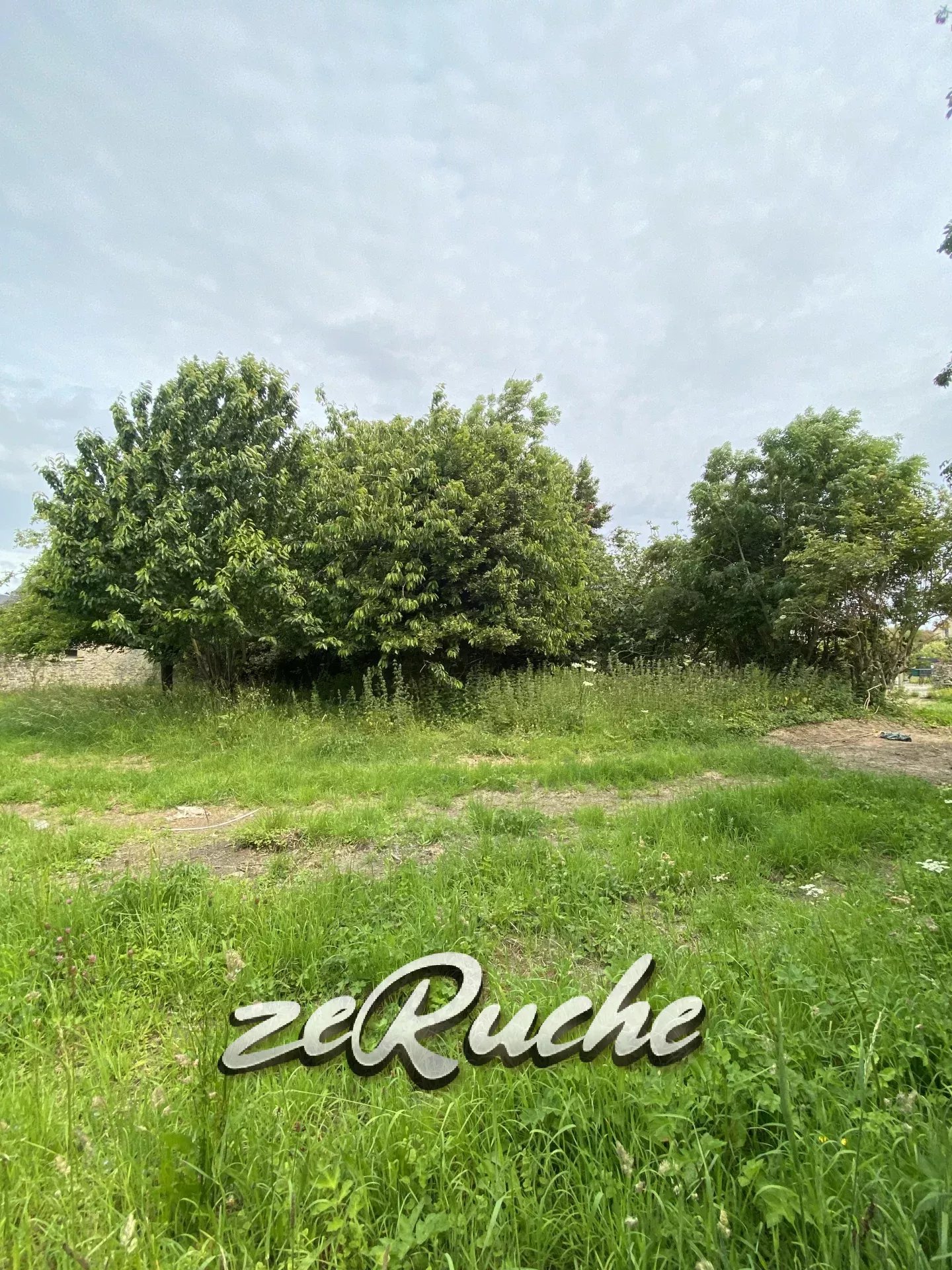 Agence immobilière de ZERUCHE