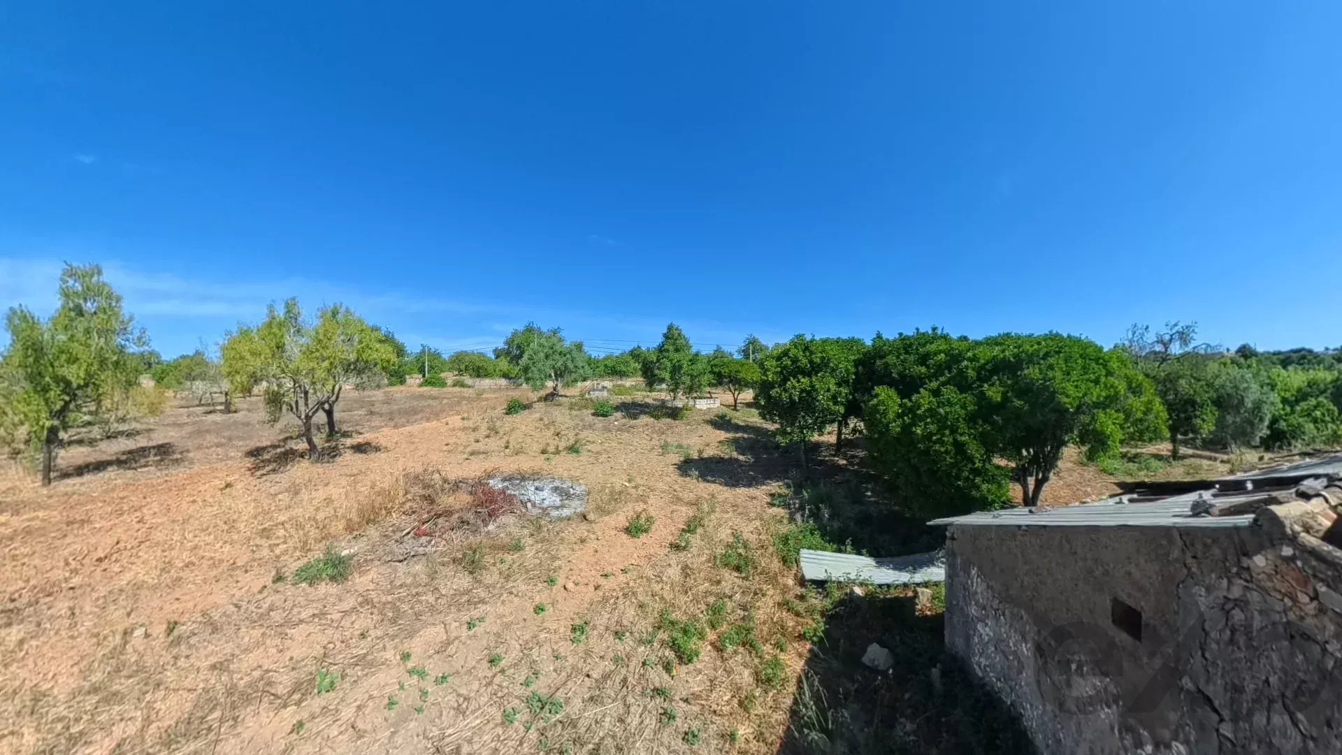 Traditional Countryside Property in Santo Estêvão, Tavira 87172633 image 13